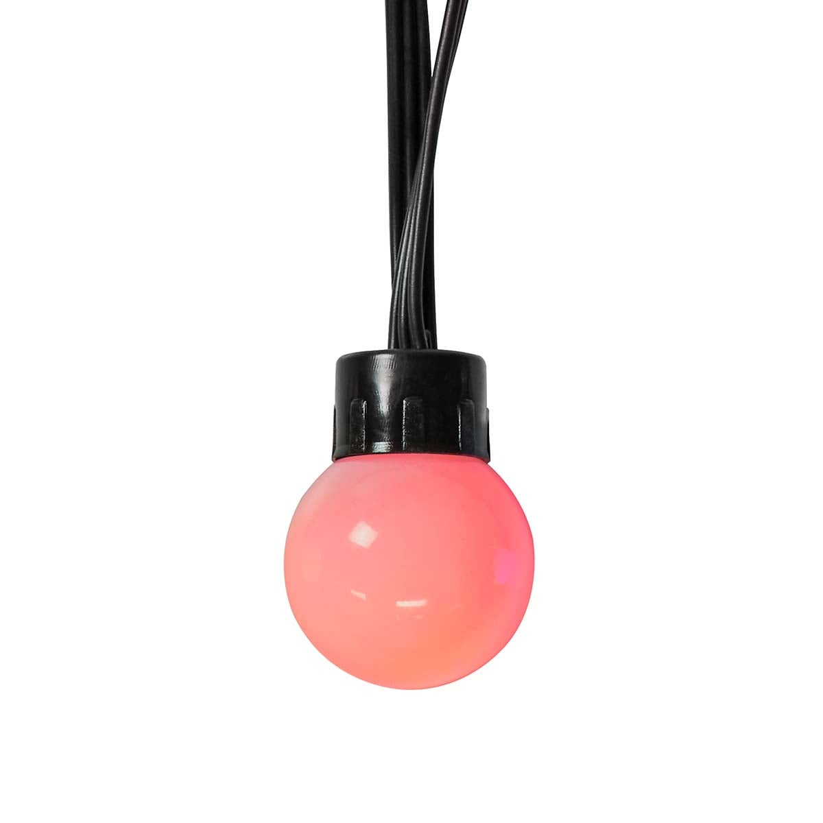 Una singola lampadina rotonda rosa è appesa a cavi neri su sfondo bianco.