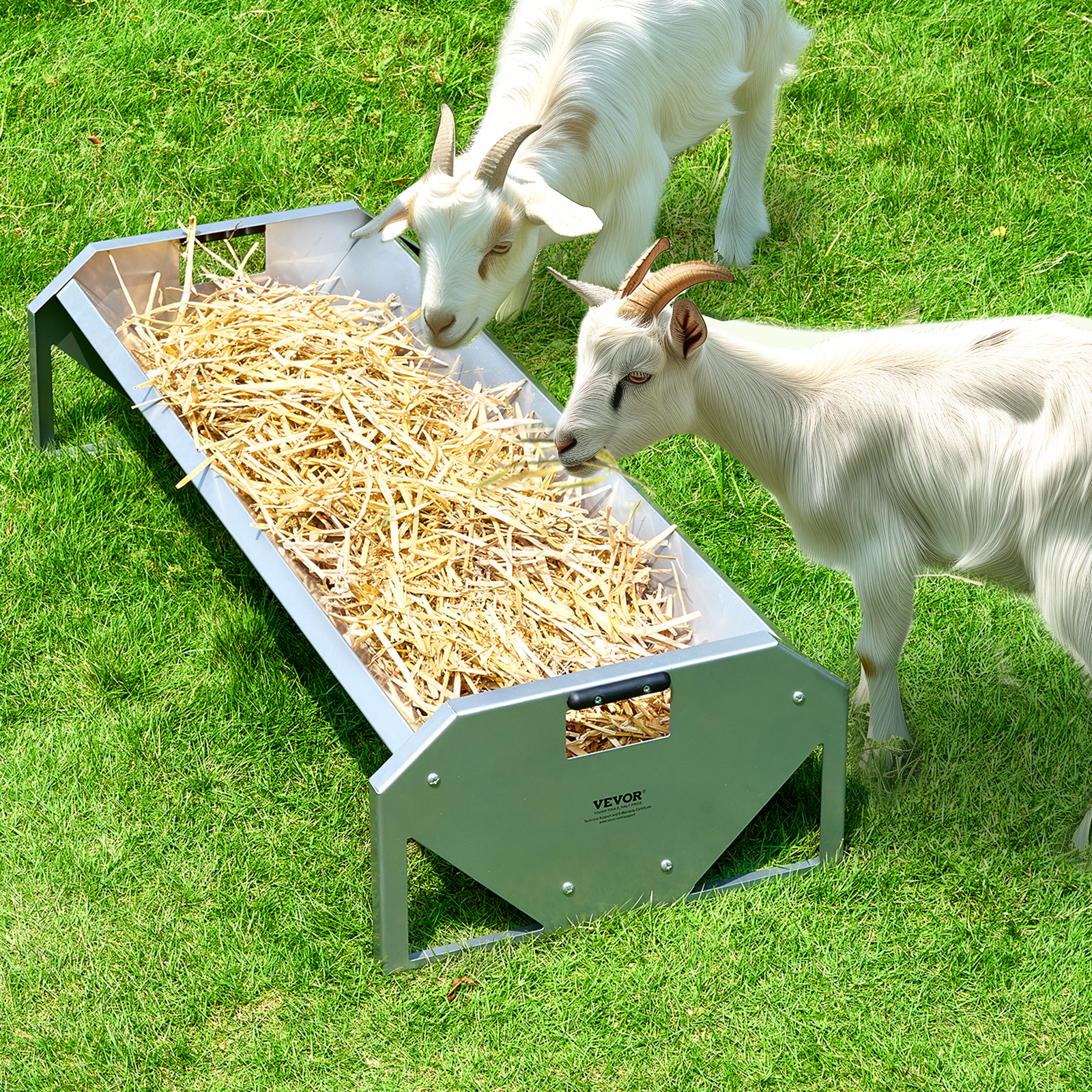 Dos cabras blancas comen paja de un comedero de metal plateado en un césped verde.