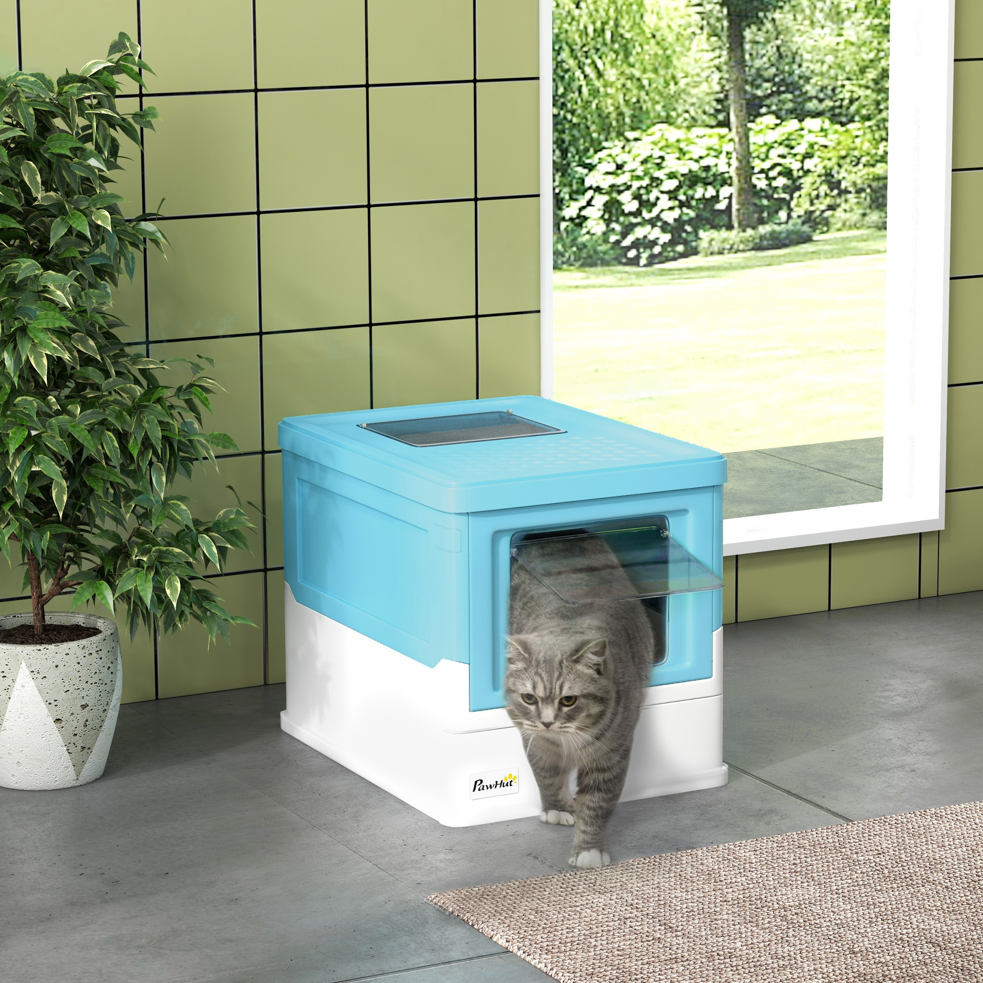 Un gatto grigio esce da una lettiera coperta blu e bianca all'interno.