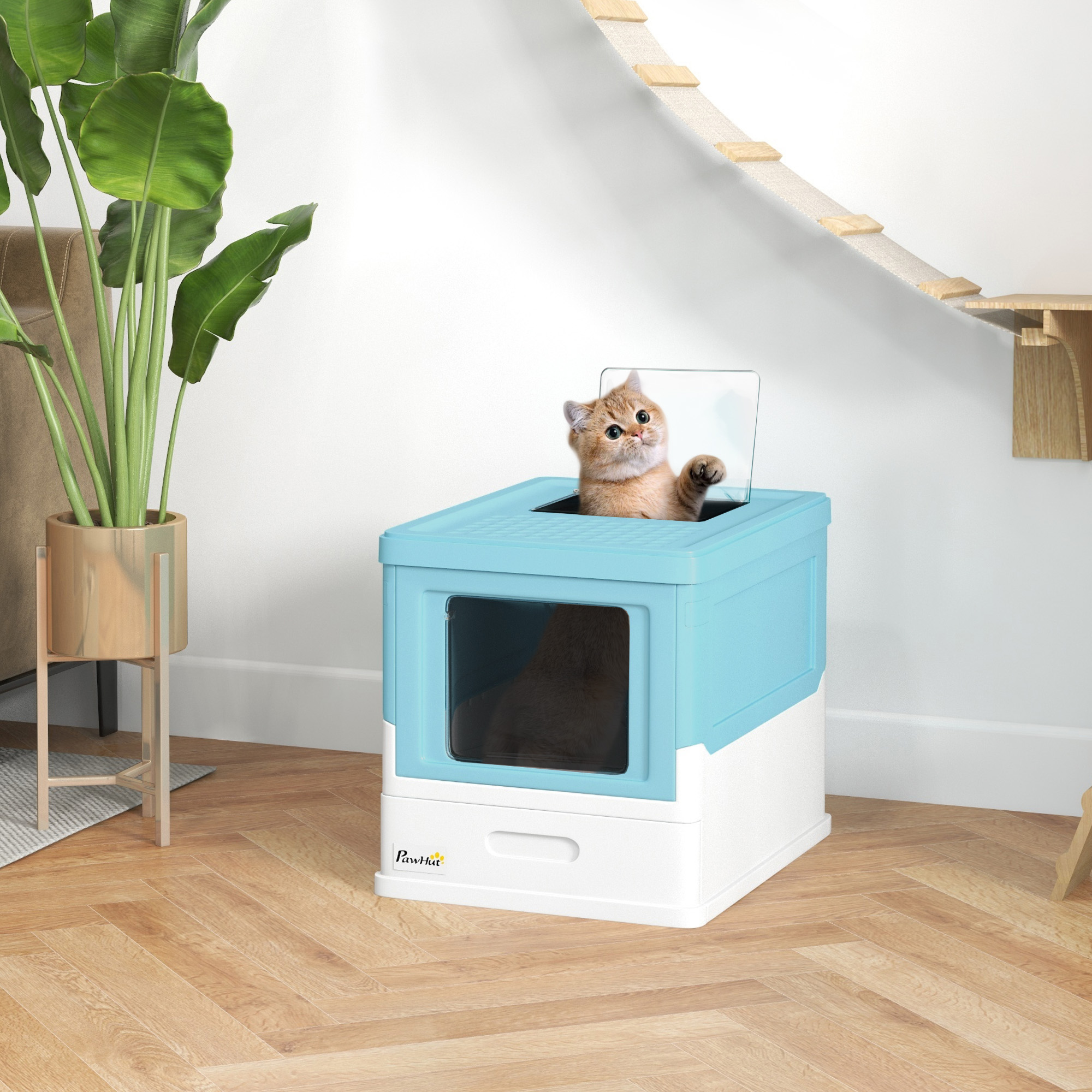 Un gatto carino fa capolino dall'apertura superiore di una cassetta igienica blu.