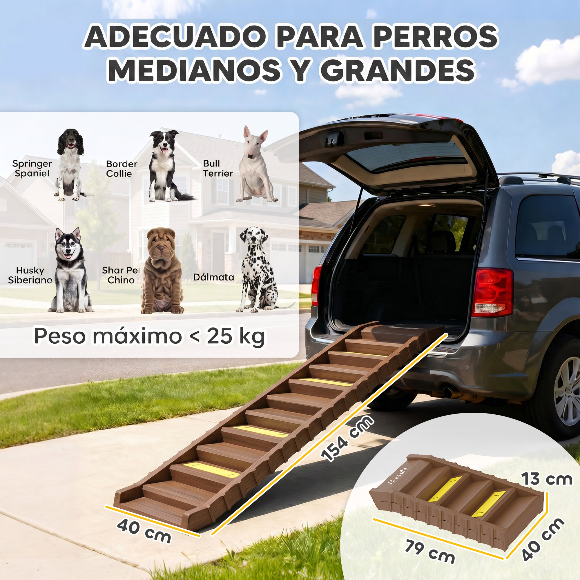 Rampa para perros medianos y grandes, con dimensiones y razas de perro junto a un coche.