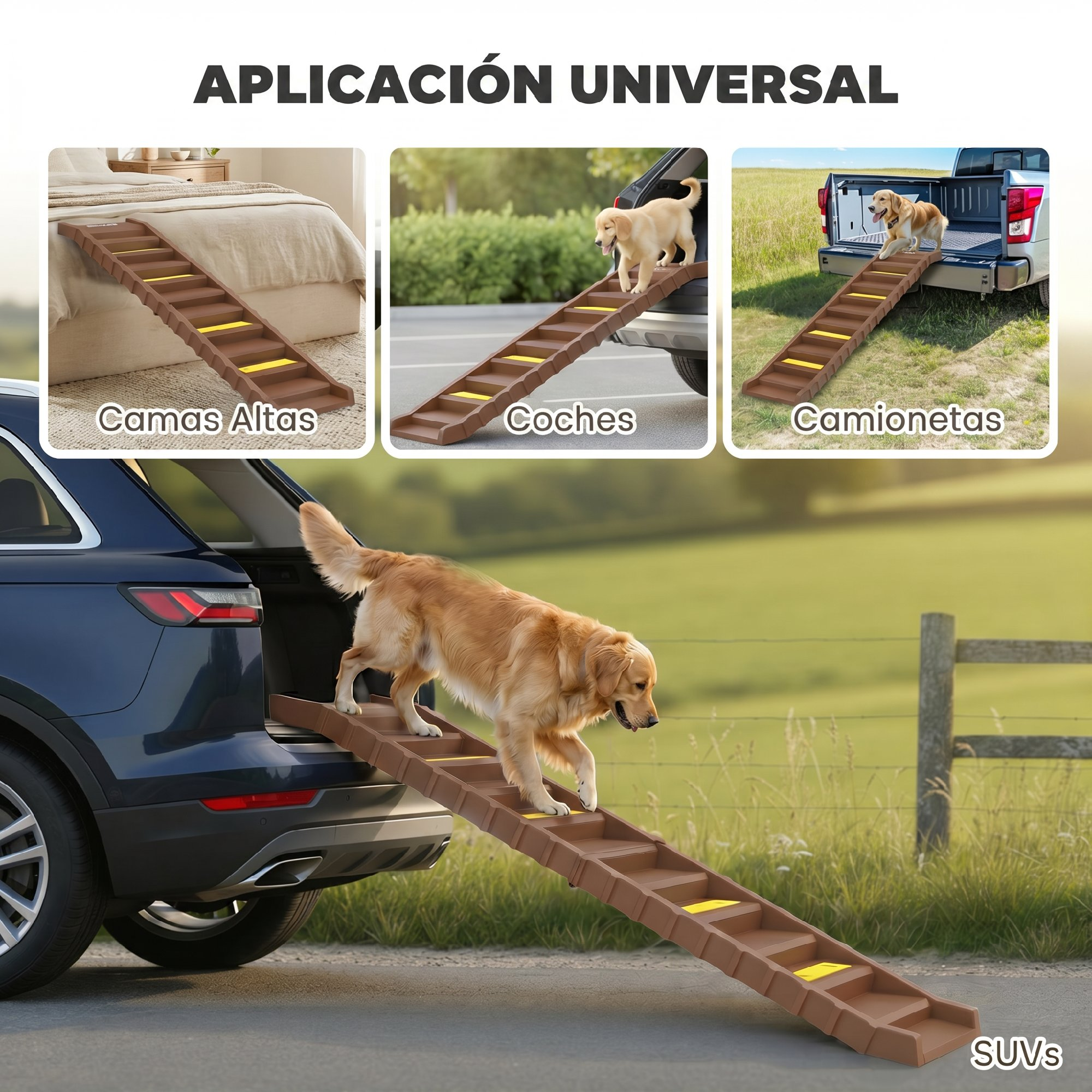 Un perro golden retriever baja por una rampa marrón para mascotas en un coche.