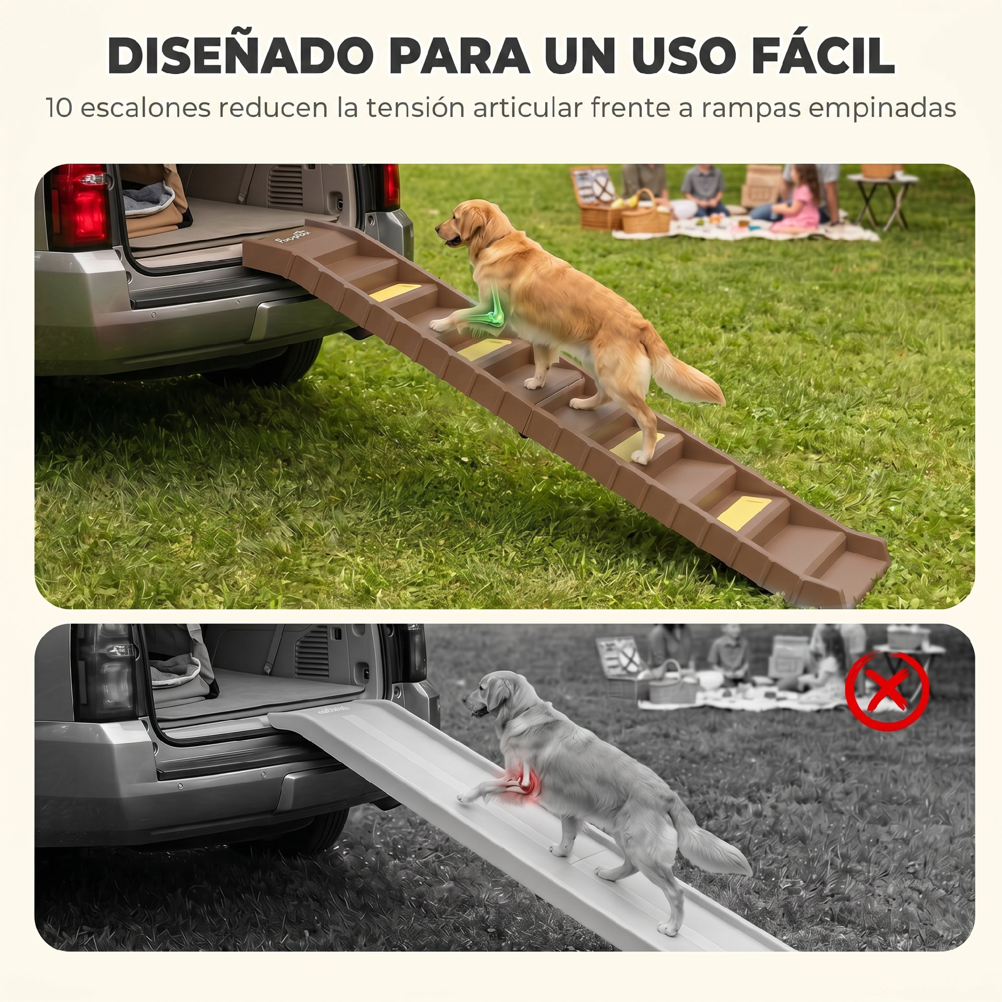 Un golden retriever sube fácilmente por una rampa de escalones a un maletero, comparado con una rampa plana.