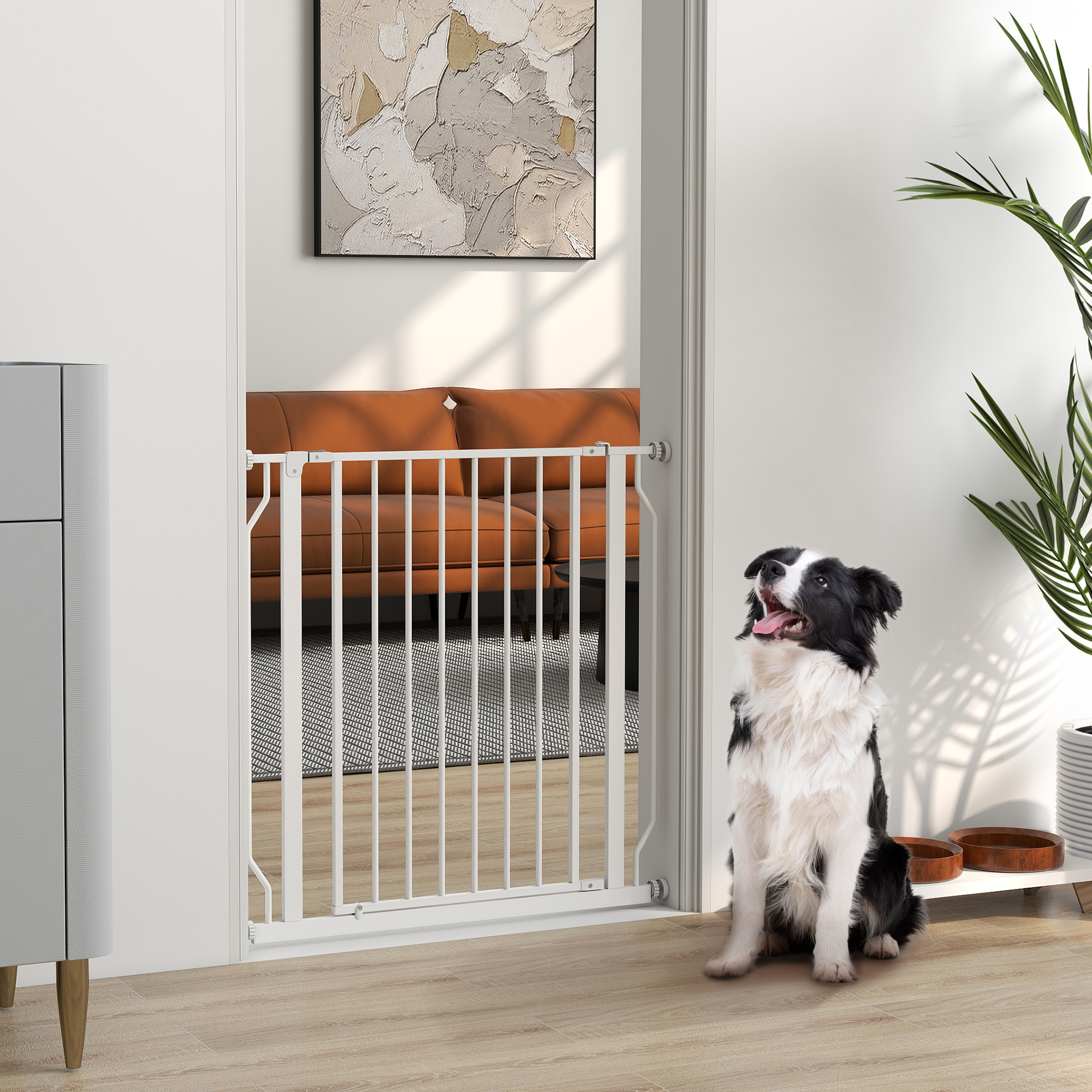 Un Border Collie blanco y negro se sienta ante una puerta de seguridad blanca en un pasillo, con una planta.