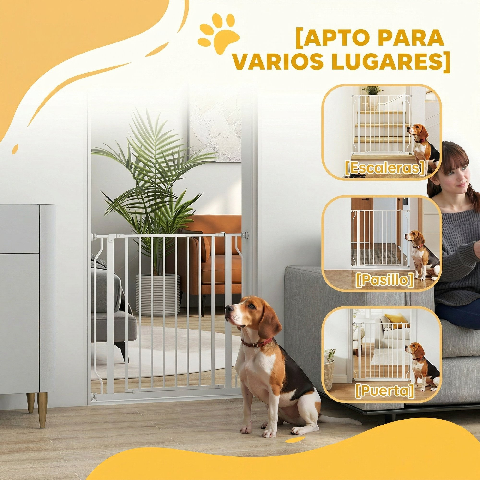 Un beagle se sienta ante una puerta de seguridad blanca de interior, con fotos insertadas para escaleras, pasillos y puertas.