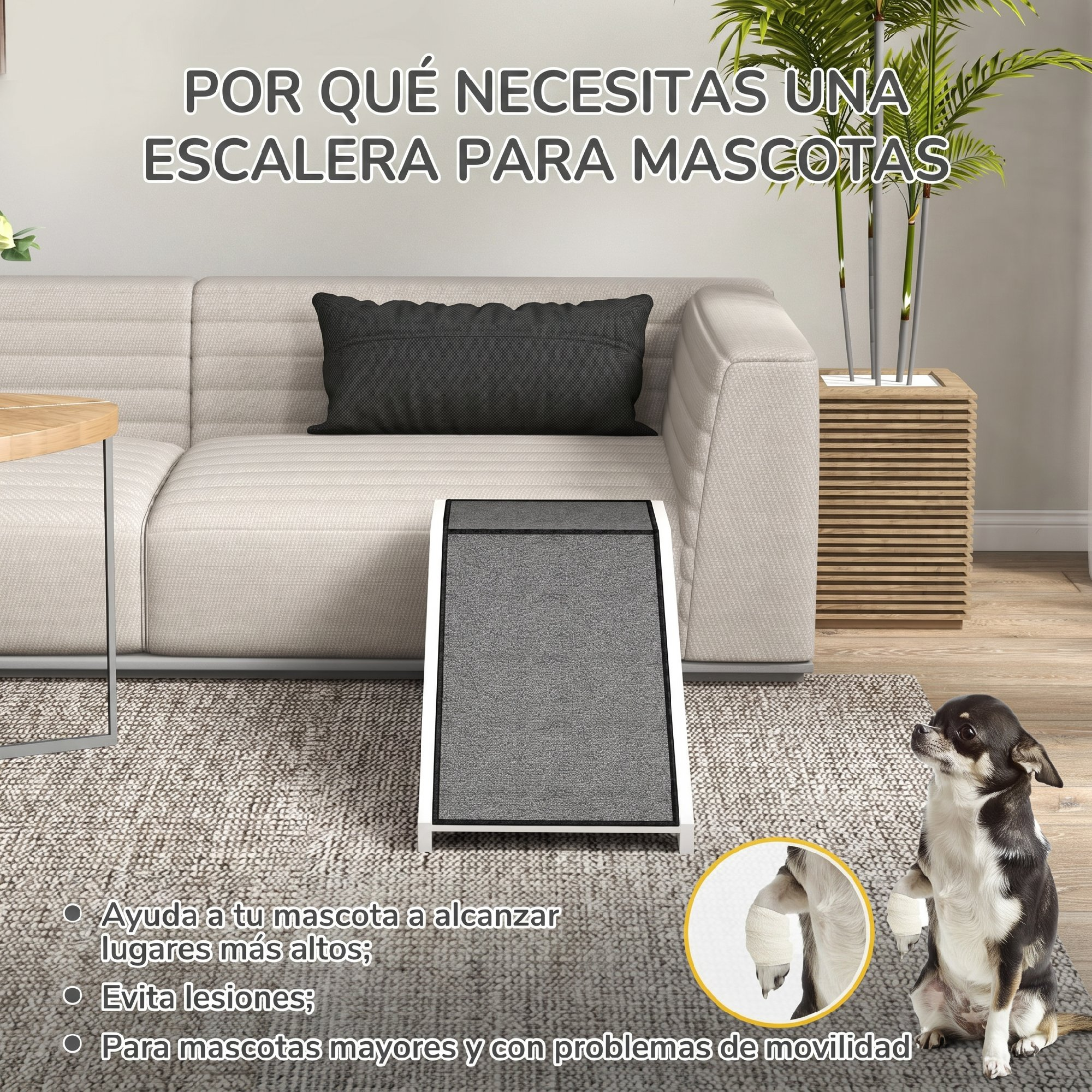 Una rampa gris para mascotas frente a un sofá, con un perro pequeño mirando hacia arriba.