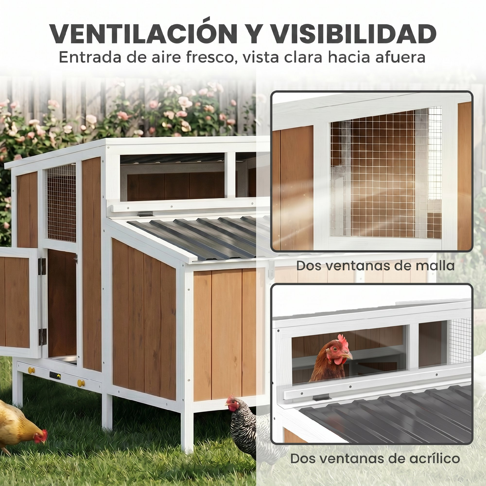 Gallinero de madera con ventanas de malla, ventanas acrílicas y gallinas en el césped.