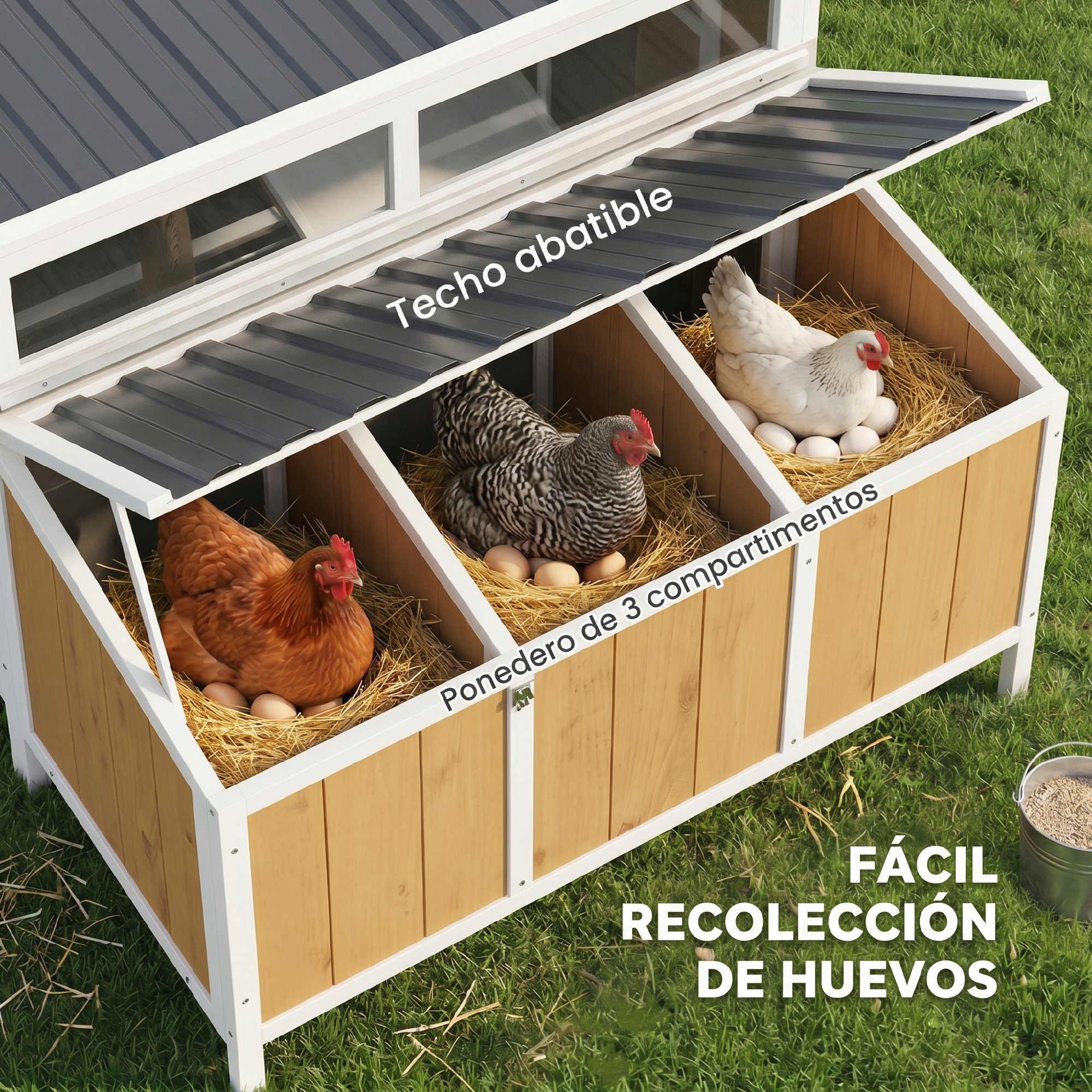 Nido de gallina de madera con tres compartimentos en la hierba, gallinas en huevos.