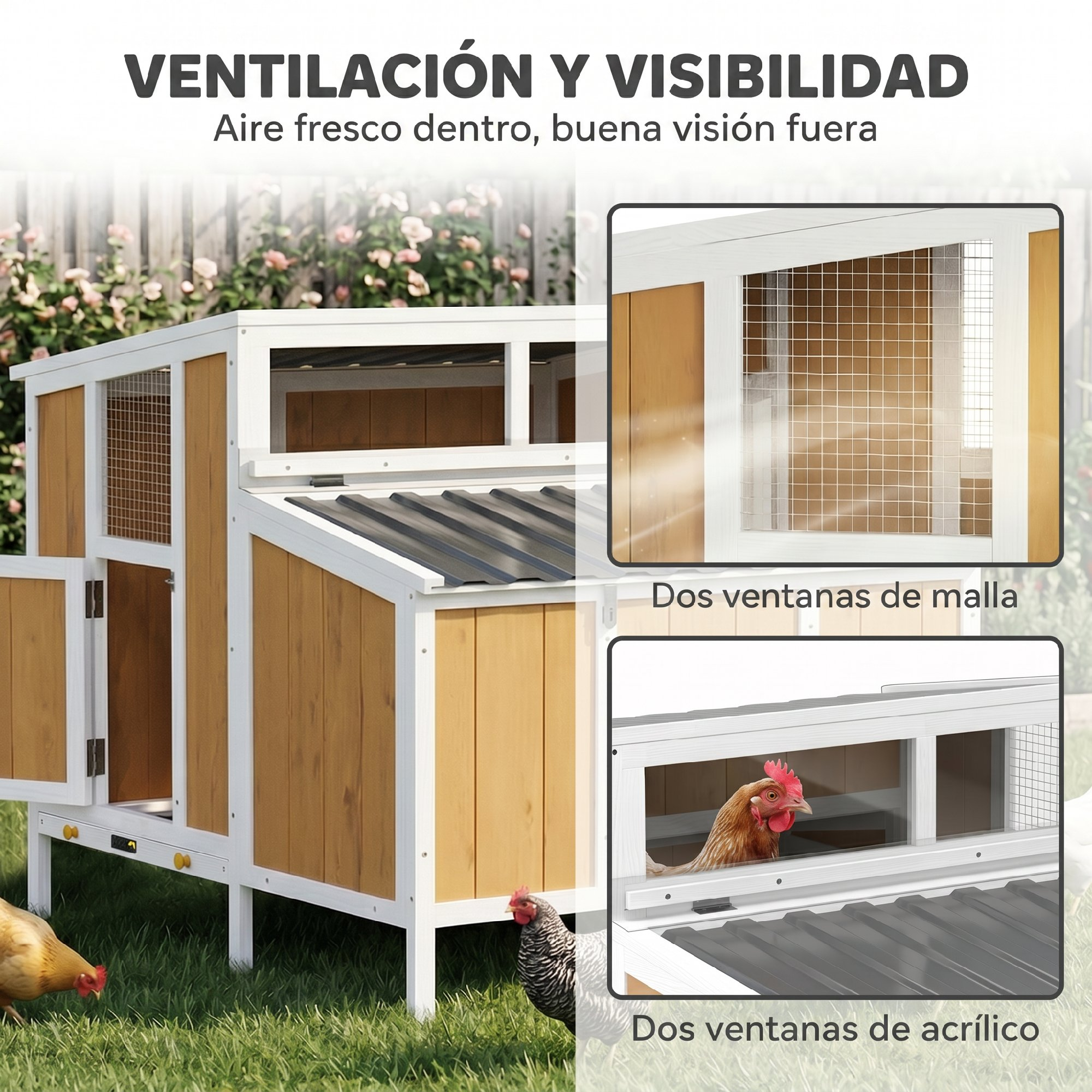 Gallinero de madera con ventanas de malla y acrílico para ventilación, con gallinas en el césped.