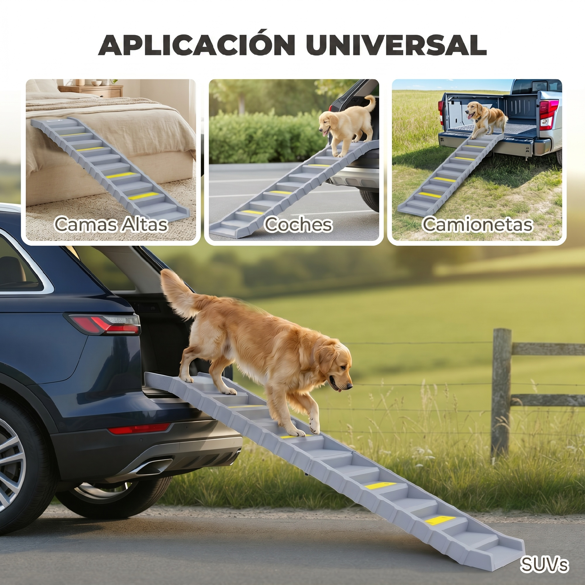 Golden Retriever sube por una escalera gris hacia el maletero de un SUV azul.