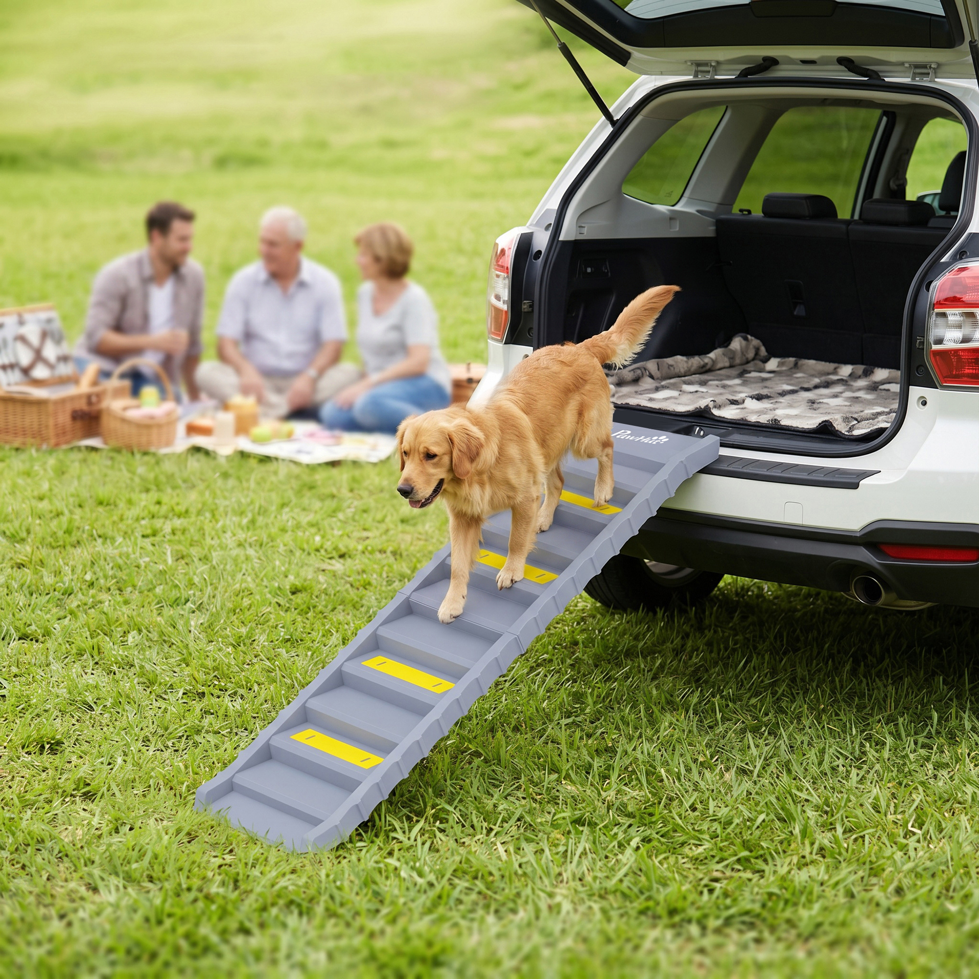 Un golden retriever baja por una rampa plegable desde el maletero de un coche, con una familia haciendo un picnic al fondo.