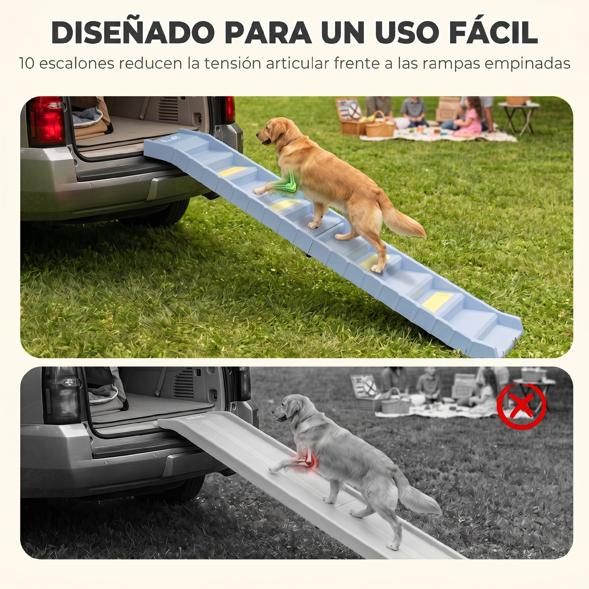 Perro subiendo escaleras para mascotas al maletero en comparación con una rampa.