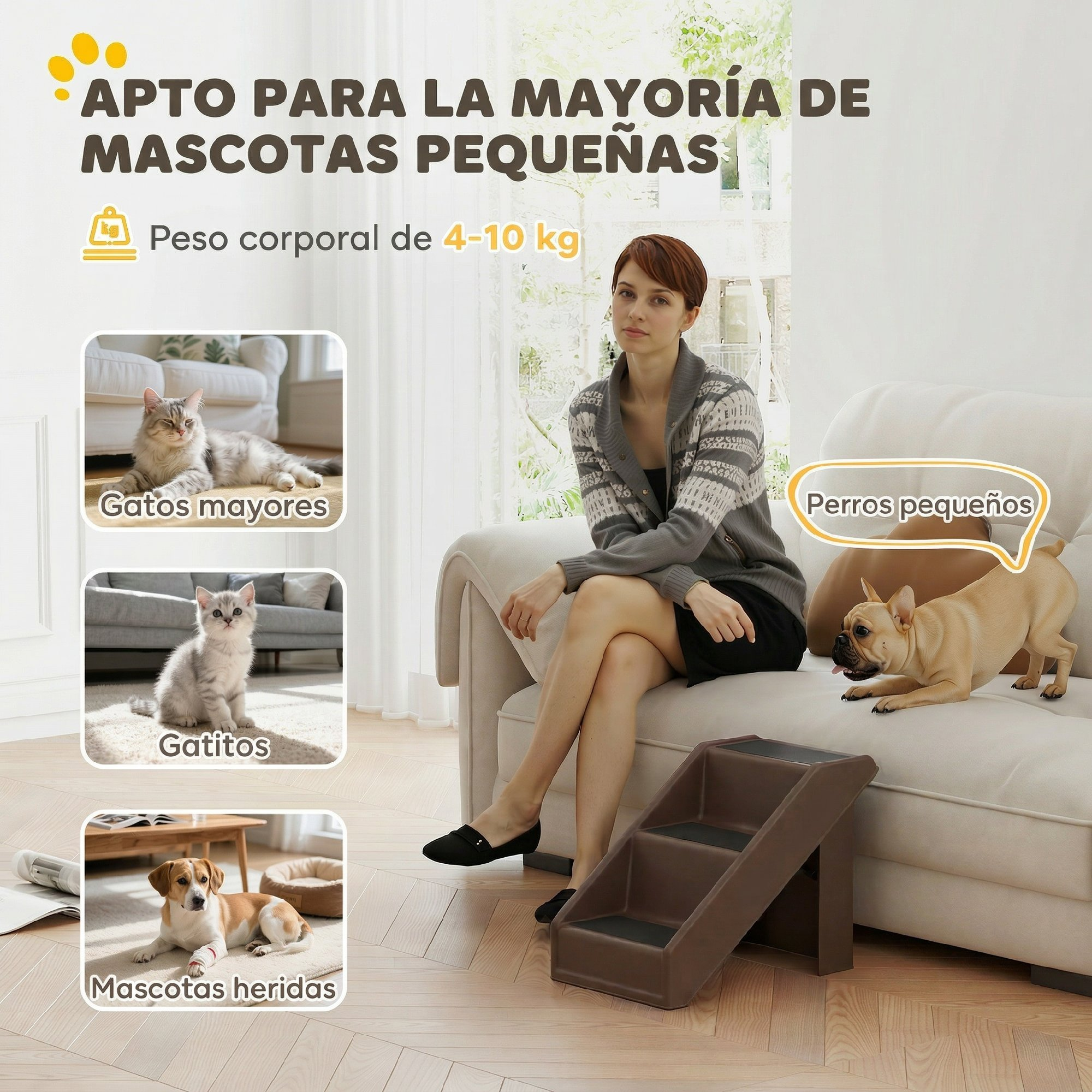 Una mujer se sienta en un sofá con un perro pequeño y escalones para mascotas. Las imágenes a la izquierda muestran mascotas.