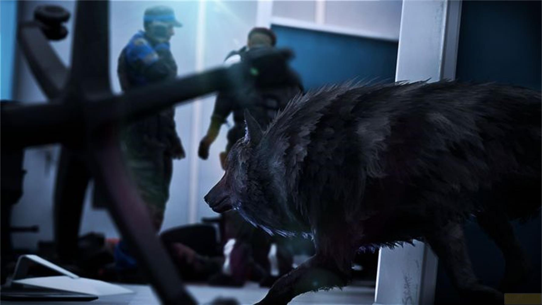 Ein struppiger schwarzer Wolf geht in einem Innenraum, mit verschwommenen Personen im Hintergrund.