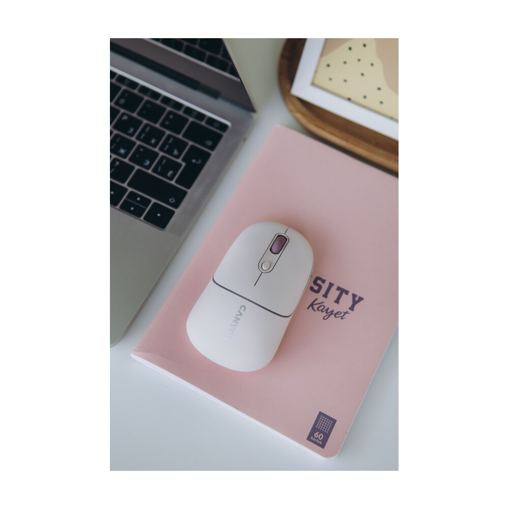 A white computer mouse rests on a pink notebook beside a laptop and a framed picture on a white desk.