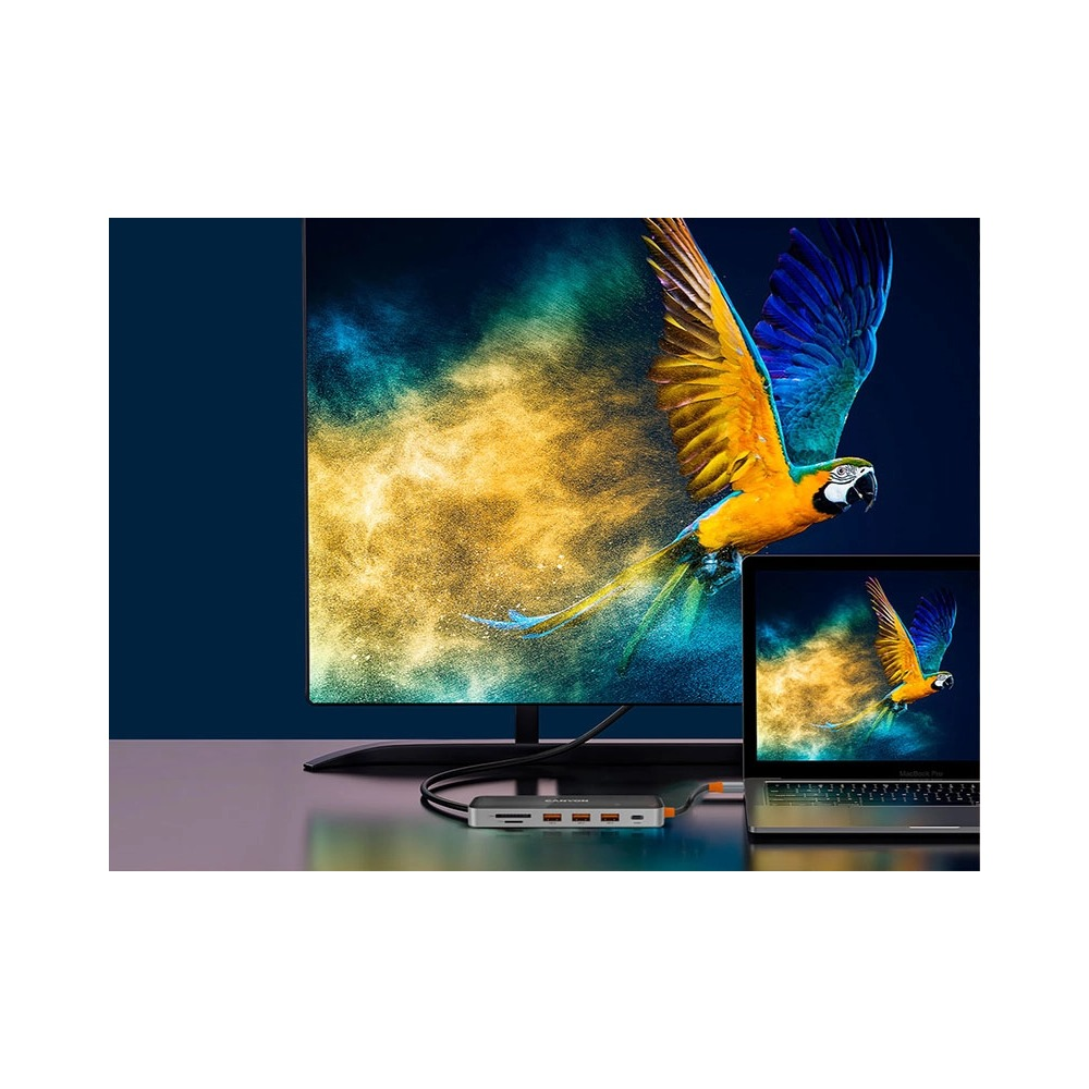 Hub USB łączy laptop i duży monitor z motywem papugi.