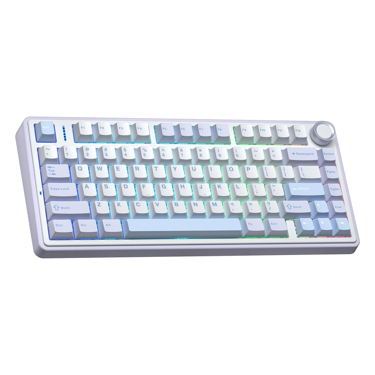 RGB aydınlatmalı ve ses düğmeli beyaz ve mavi mekanik klavye.