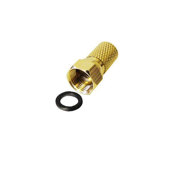 Ein goldener Gewindeanschluss mit einer kleinen schwarzen O-Ring-Dichtung auf weißem Hintergrund.