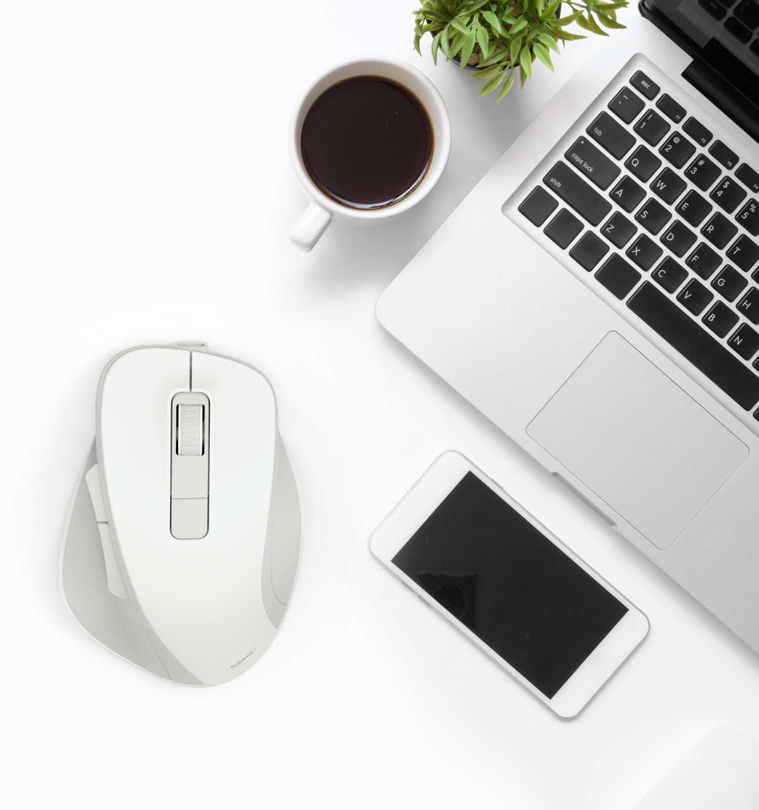 Draufsicht auf einen weißen Schreibtisch mit Laptop, Maus, Smartphone, Kaffeetasse und Pflanze.