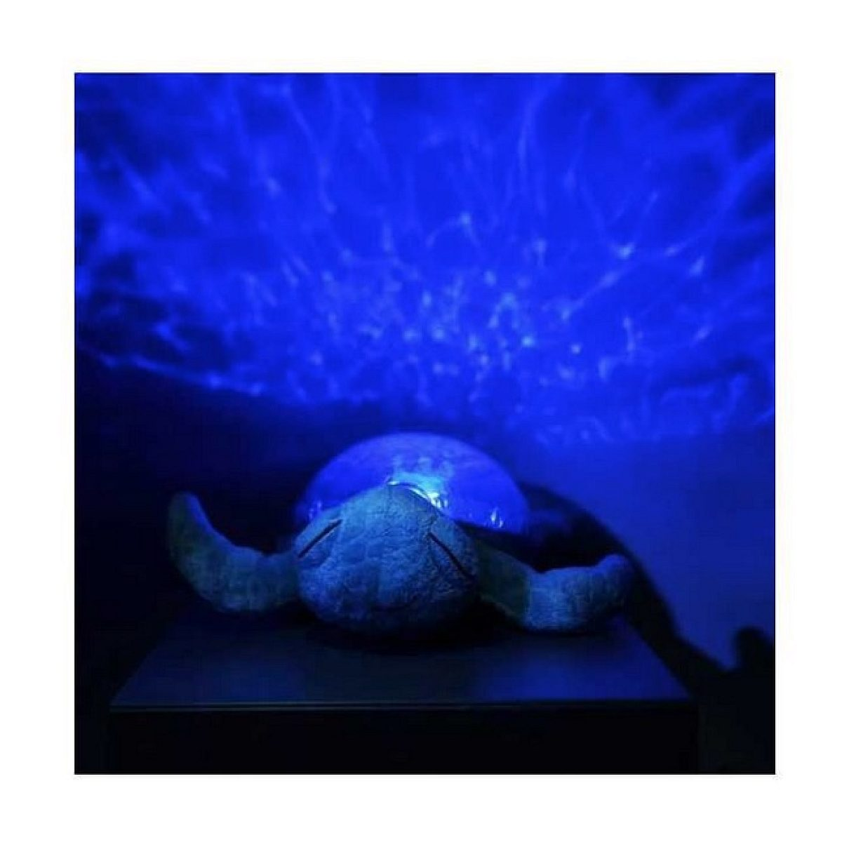 Ein Plüsch-Schildkröten-Nachtlicht projiziert blaue, wellenartige Muster an die Wand und Decke in einem dunklen Raum.