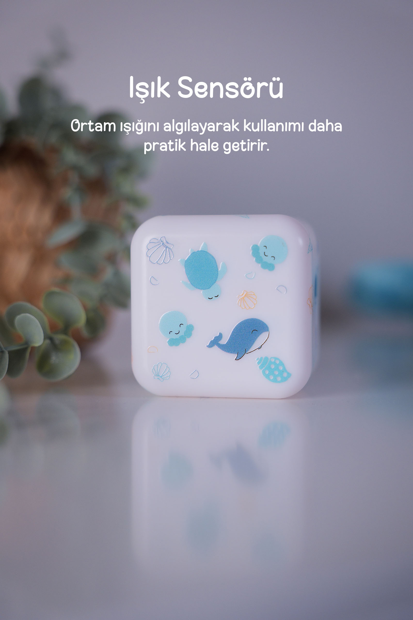 Deniz motifli beyaz bir küp, arka planda yeşil bitki ve üstte metin.