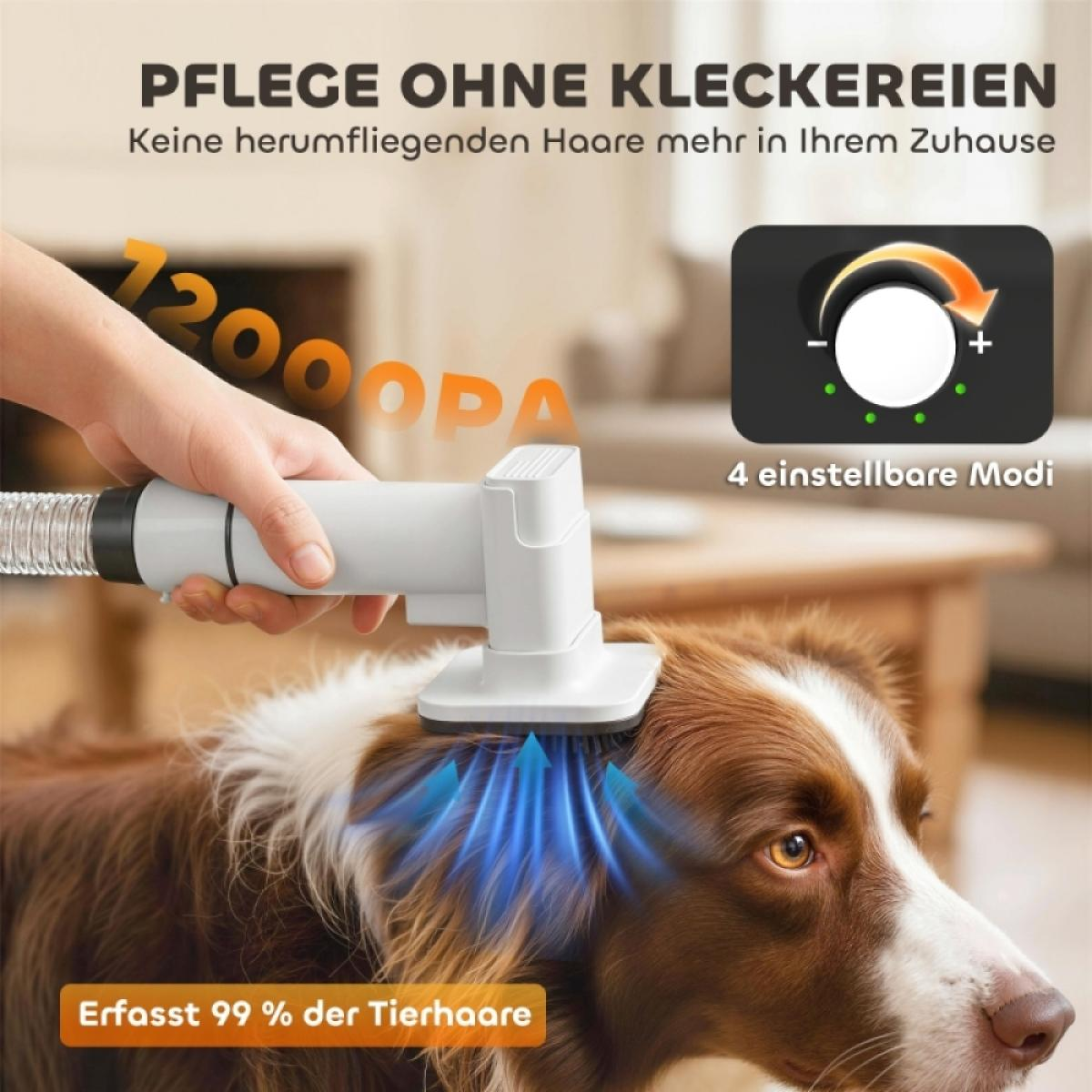 Ein Mensch benutzt einen weißen Fellreinigungsaufsatz, um das Fell eines braun-weißen Hundes zu pflegen.