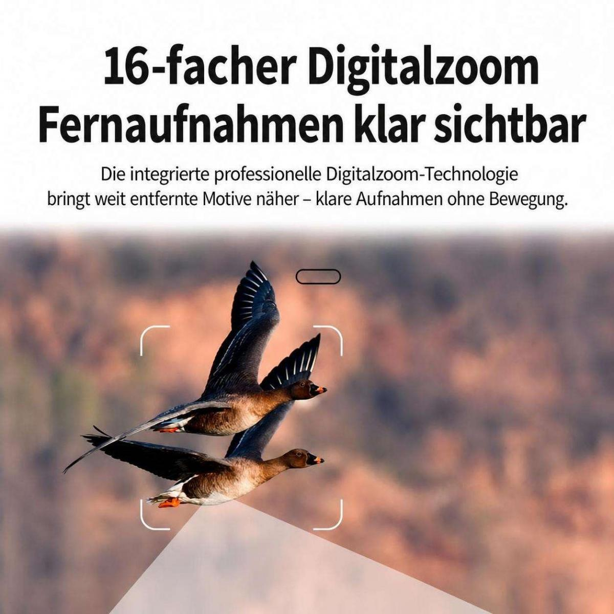 Zwei fliegende Enten mit 16-facher Digitalzoom-Anzeige und deutschem Text.
