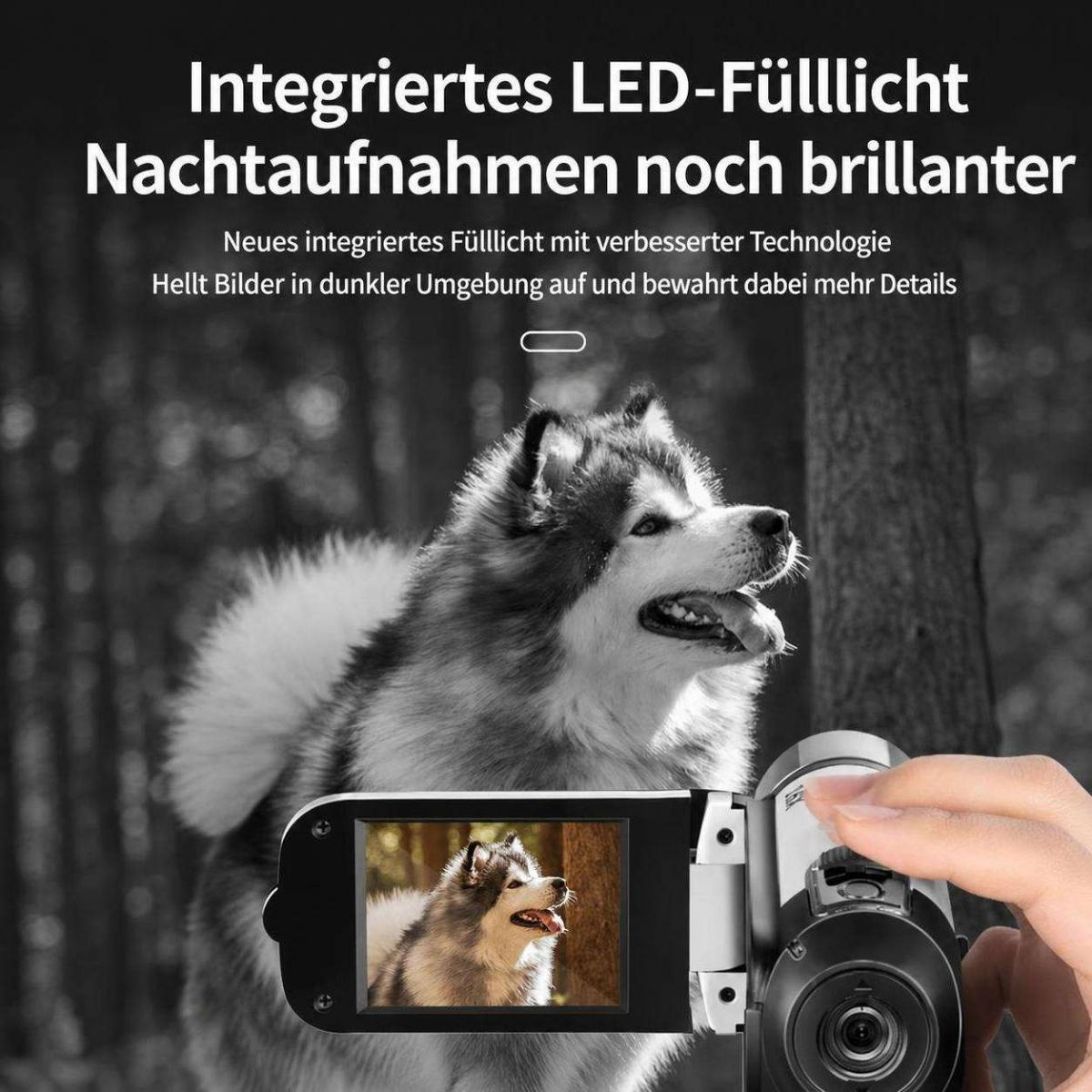 Eine Hand hält eine Videokamera, die einen Hund in einer dunklen Umgebung aufnimmt.