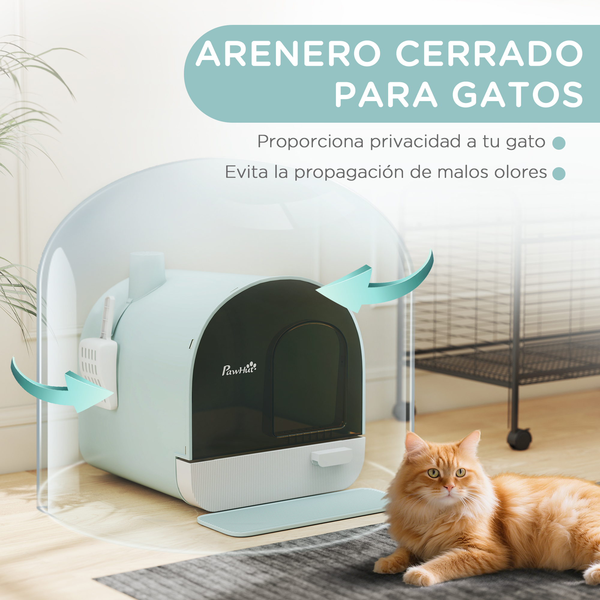 Un arenero cerrado verde menta con puerta negra, junto a un gato naranja tumbado en una alfombra.