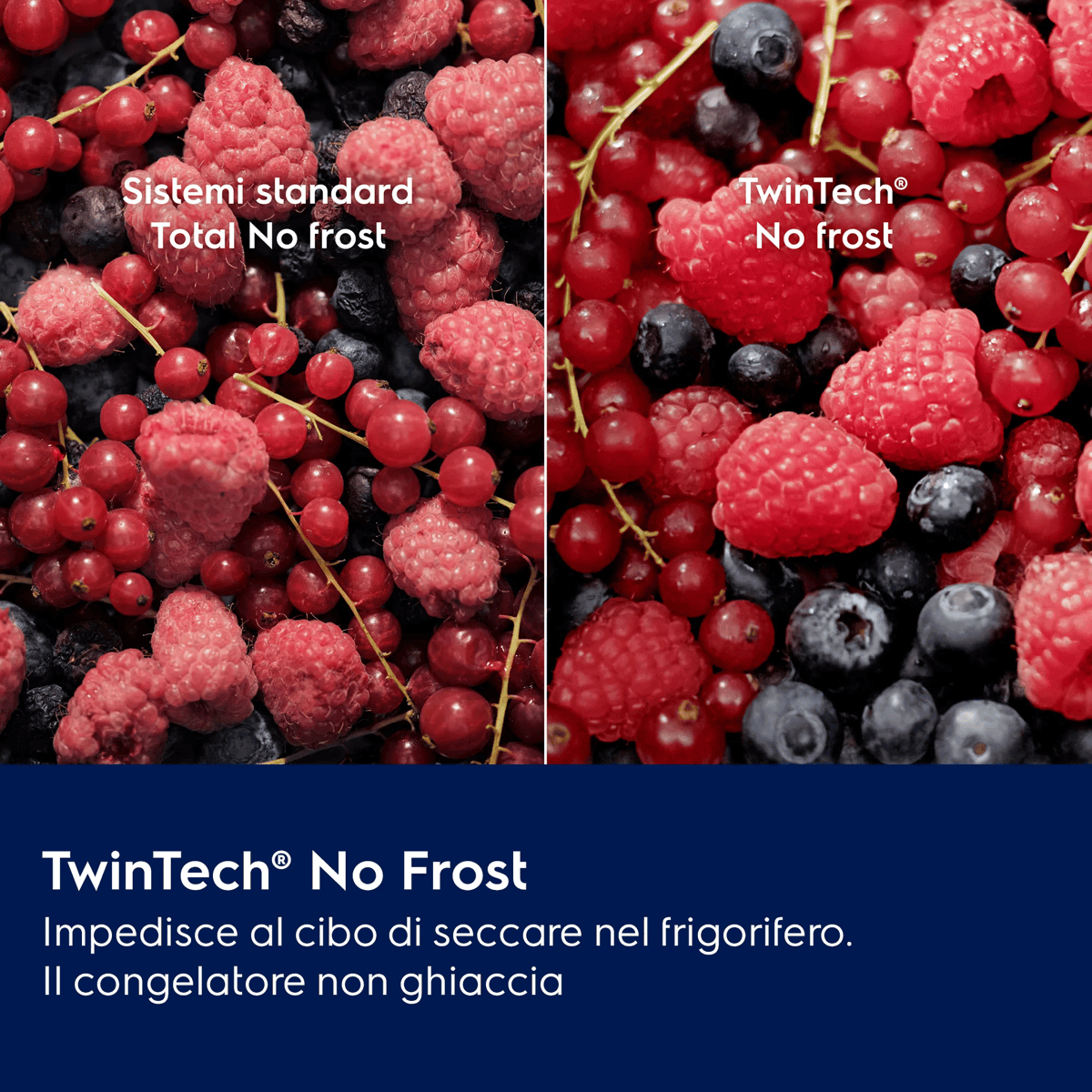 Confronto di frutti di bosco con bruciature da gelo nei sistemi standard rispetto a frutti freschi.