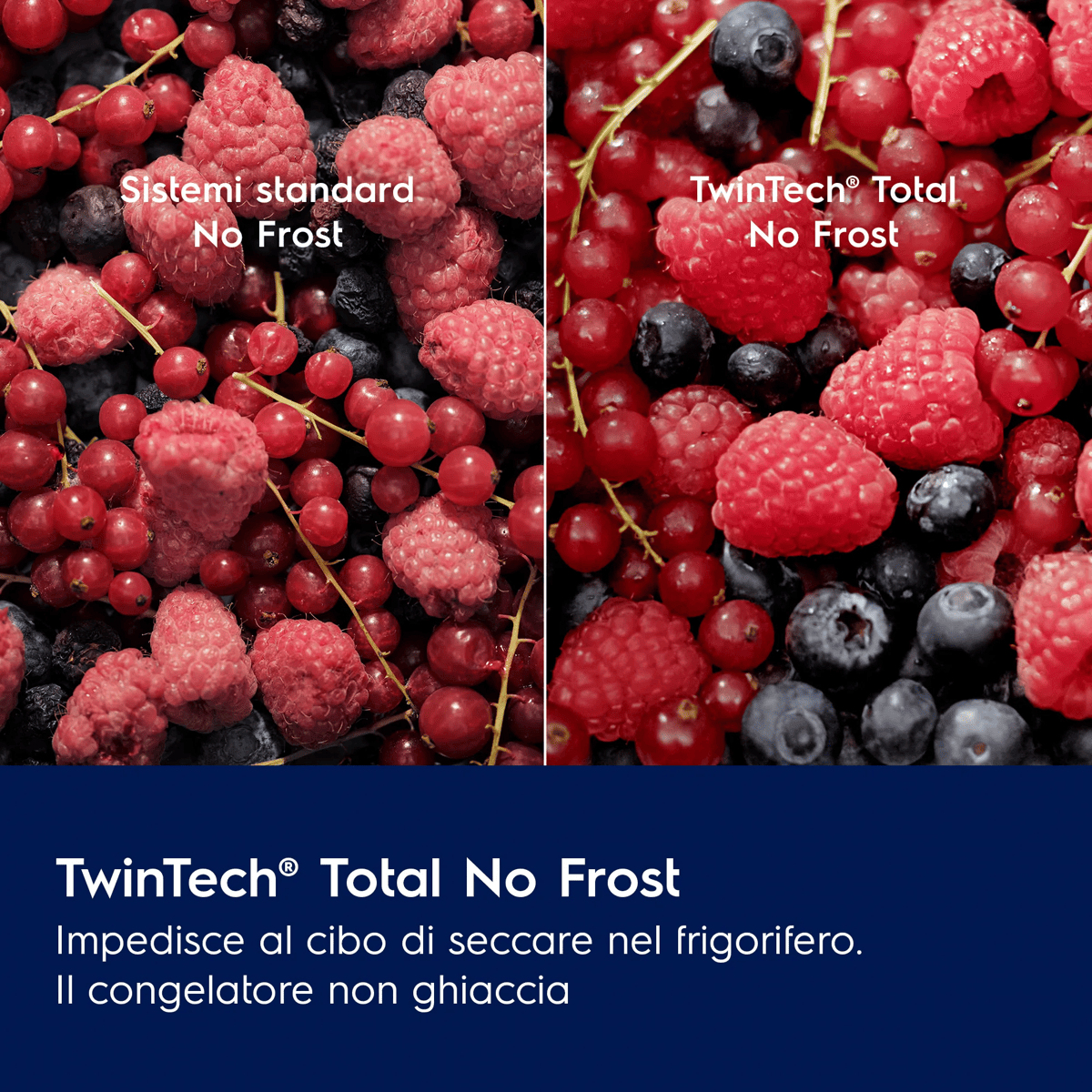 Confronto tra bacche con brina a sinistra e bacche fresche a destra con TwinTech Total No Frost.