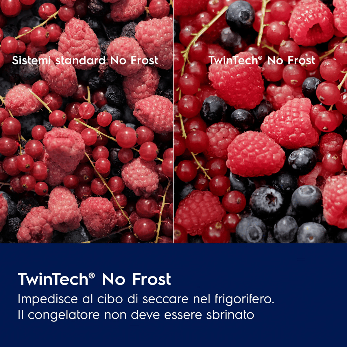 Confronto di bacche tra sistemi Standard No Frost e TwinTech No Frost.