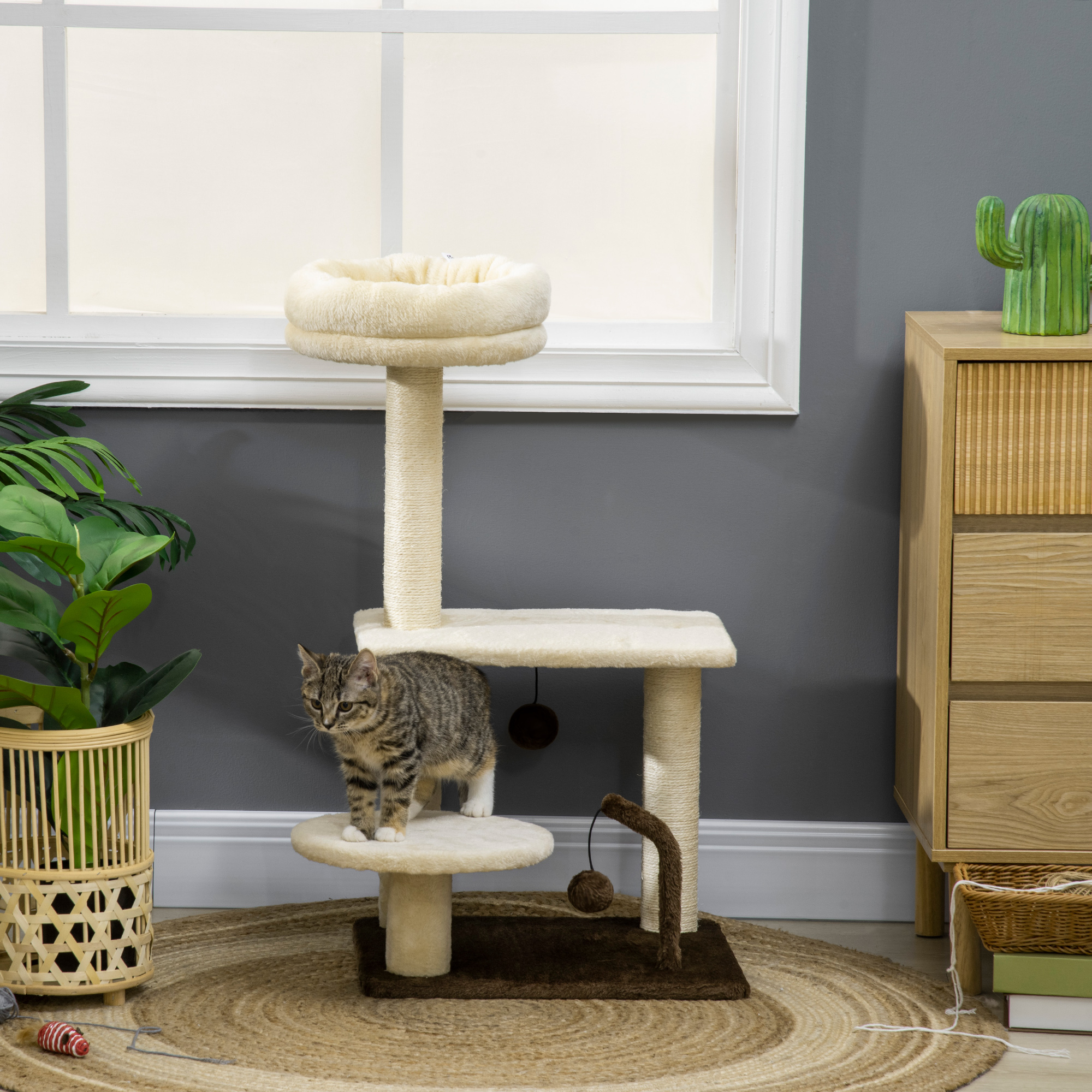 Un gattino tigrato si trova sulla piattaforma di un tiragraffi beige in una stanza con una cassettiera in legno e una pianta.