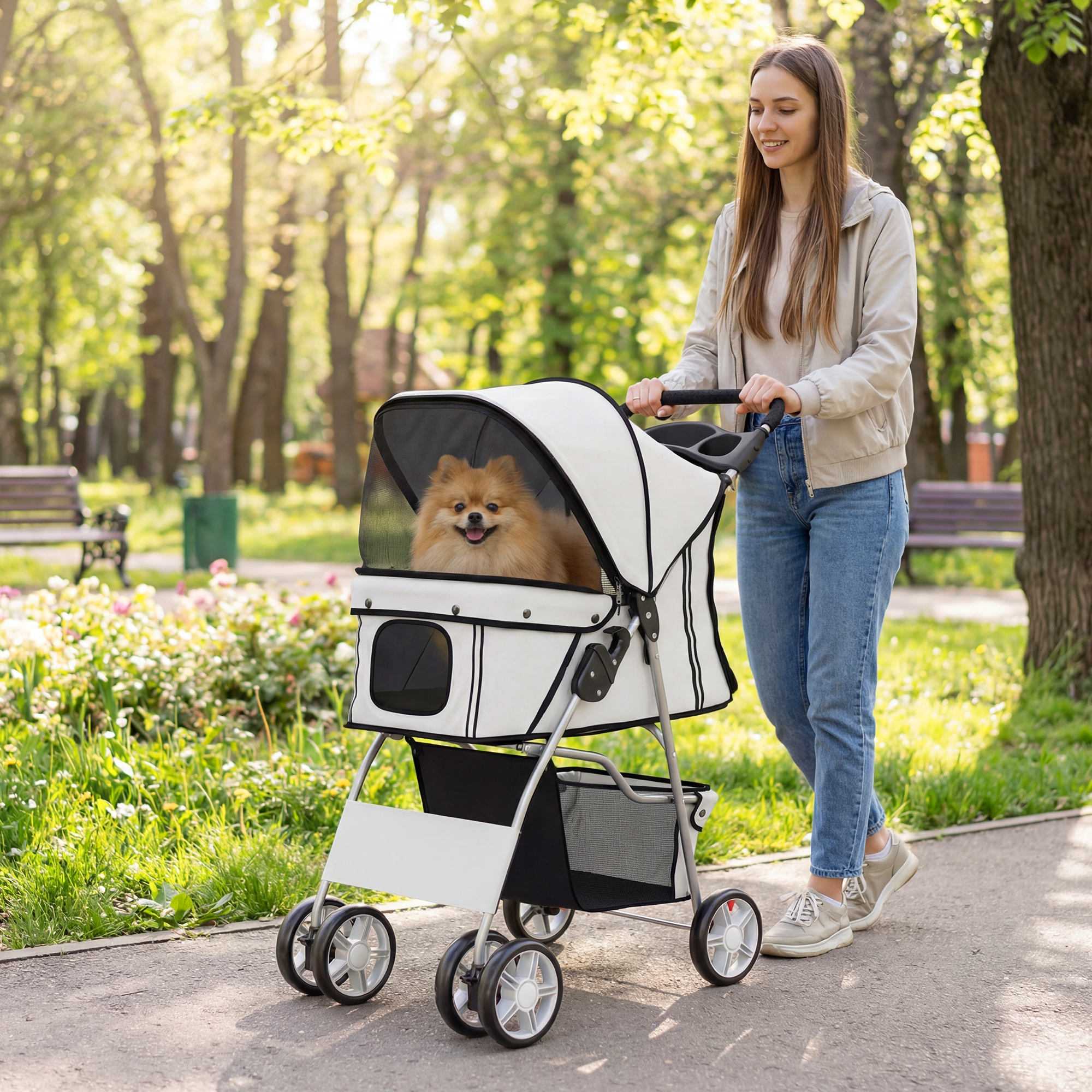 Una donna spinge un passeggino per animali con un piccolo cane pomerania in un parco soleggiato.