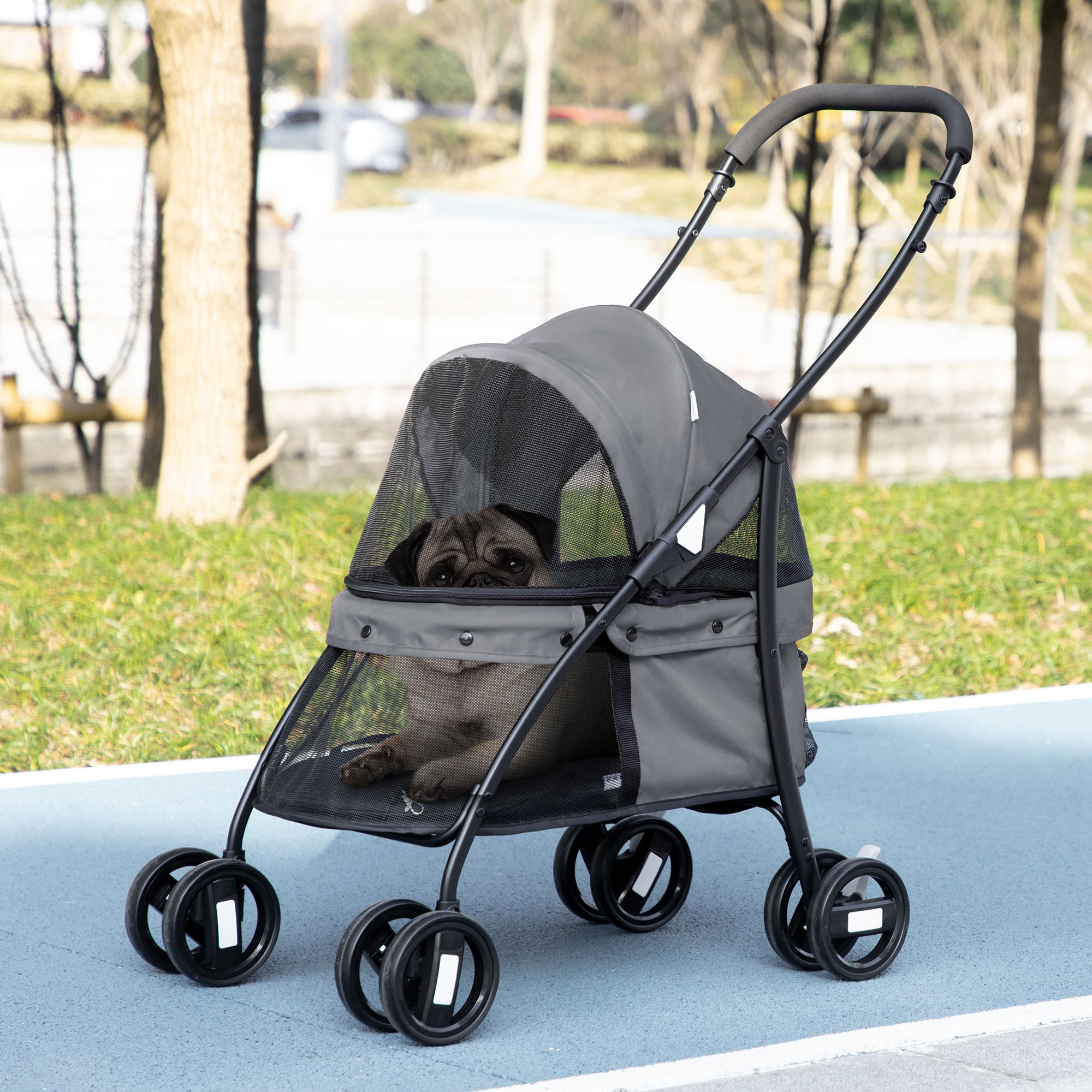 Un piccolo carlino siede in un passeggino grigio per animali su un sentiero blu in un parco.