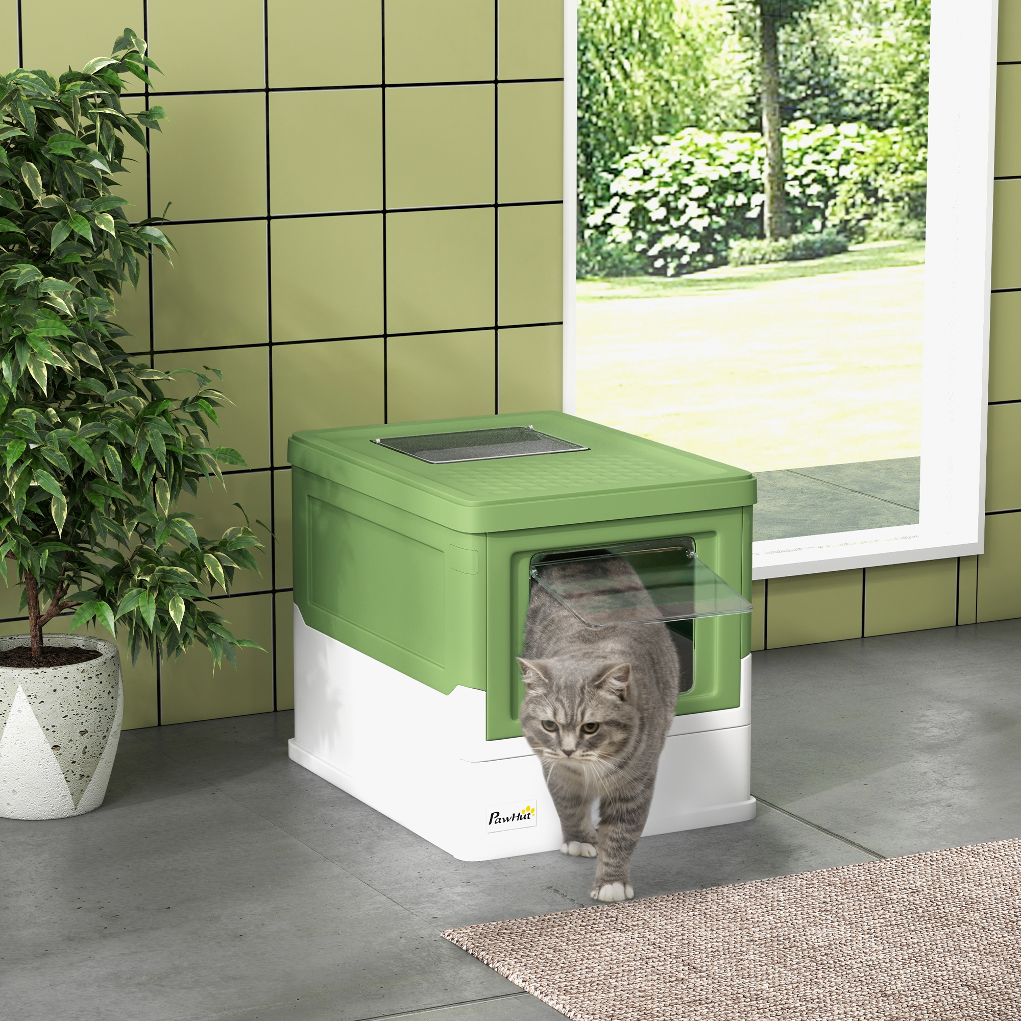 Un gatto grigio esce da una cassetta per gatti verde e bianca. A sinistra c'è una pianta in vaso, a destra una finestra.
