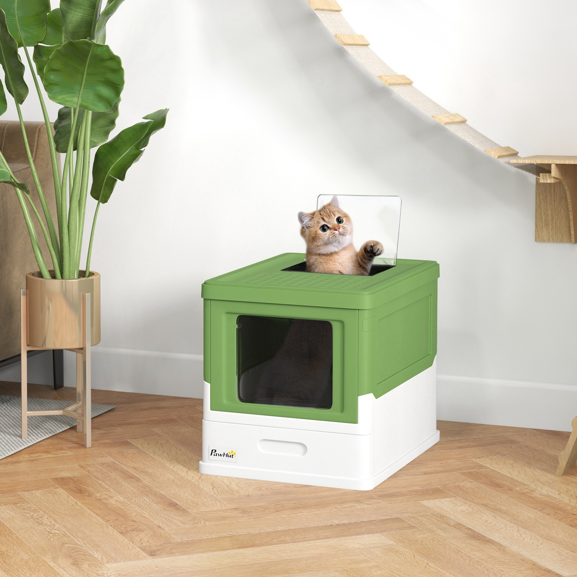 Un gatto arancione guarda fuori da una cassetta igienica verde in una stanza con pavimento in legno e una pianta.