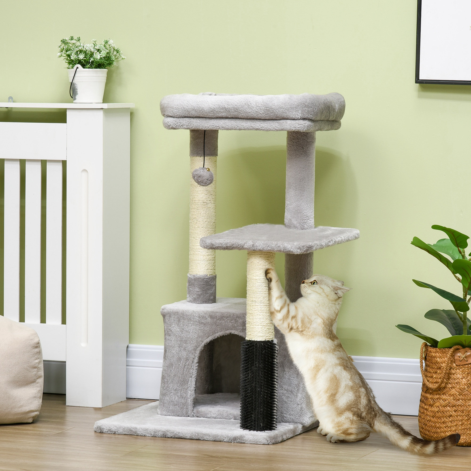 Un gatto tigrato color crema graffia un tiragraffi grigio contro una parete verde con piante.