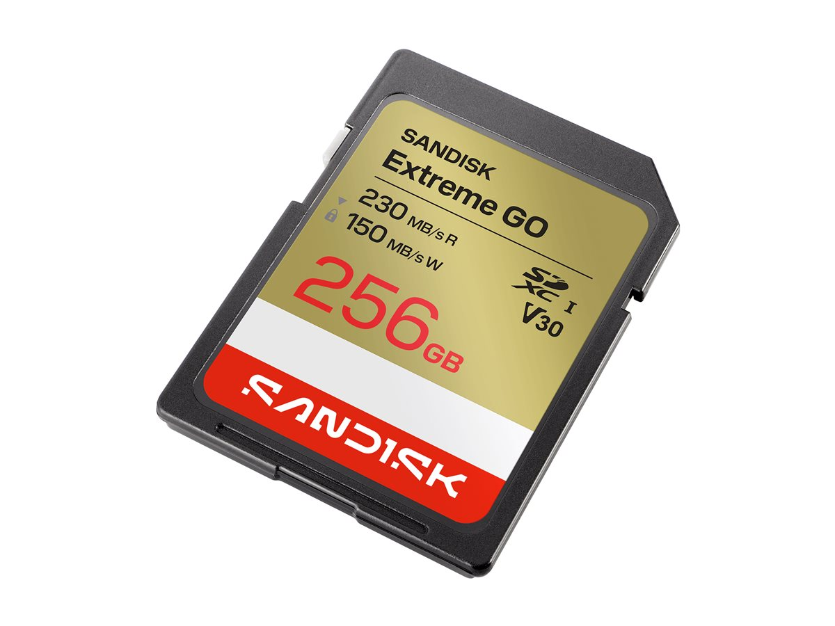 Carte mémoire SDXC SanDisk Extreme GO 256 Go avec étiquette dorée et rouge sur fond blanc.
