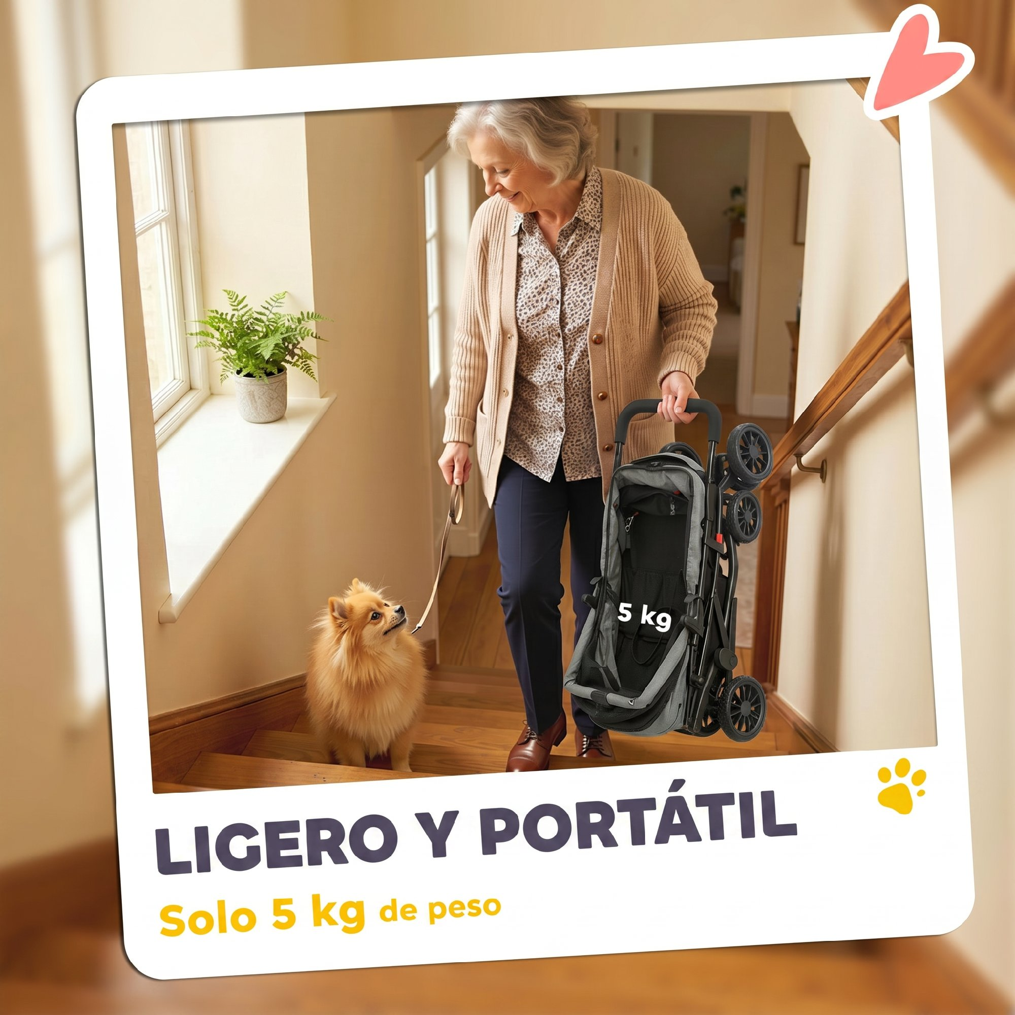 Mujer mayor sube escaleras con un perrito y lleva un carrito de 5 kg.