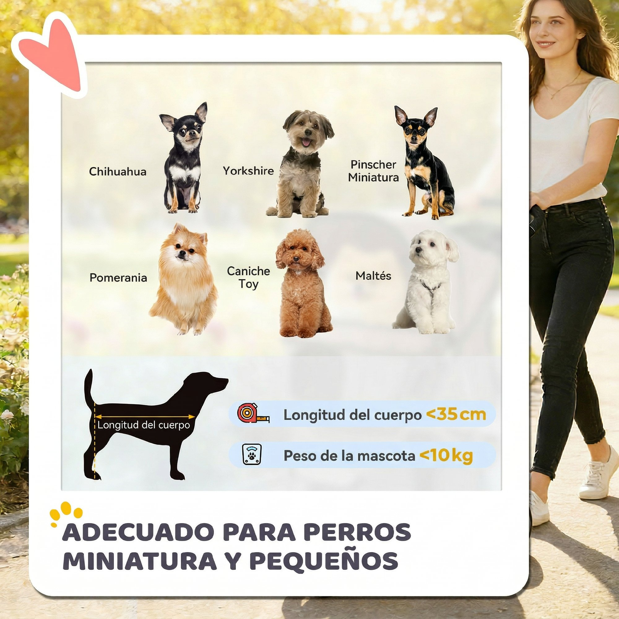 Infografía con razas de perros pequeños, longitud y peso.