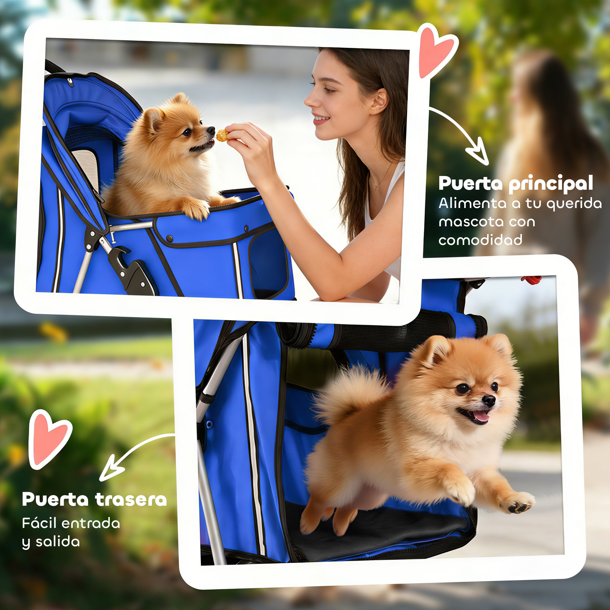 Una mujer alimenta a un perro Pomerania en un carrito azul, y otro perro salta por detrás.