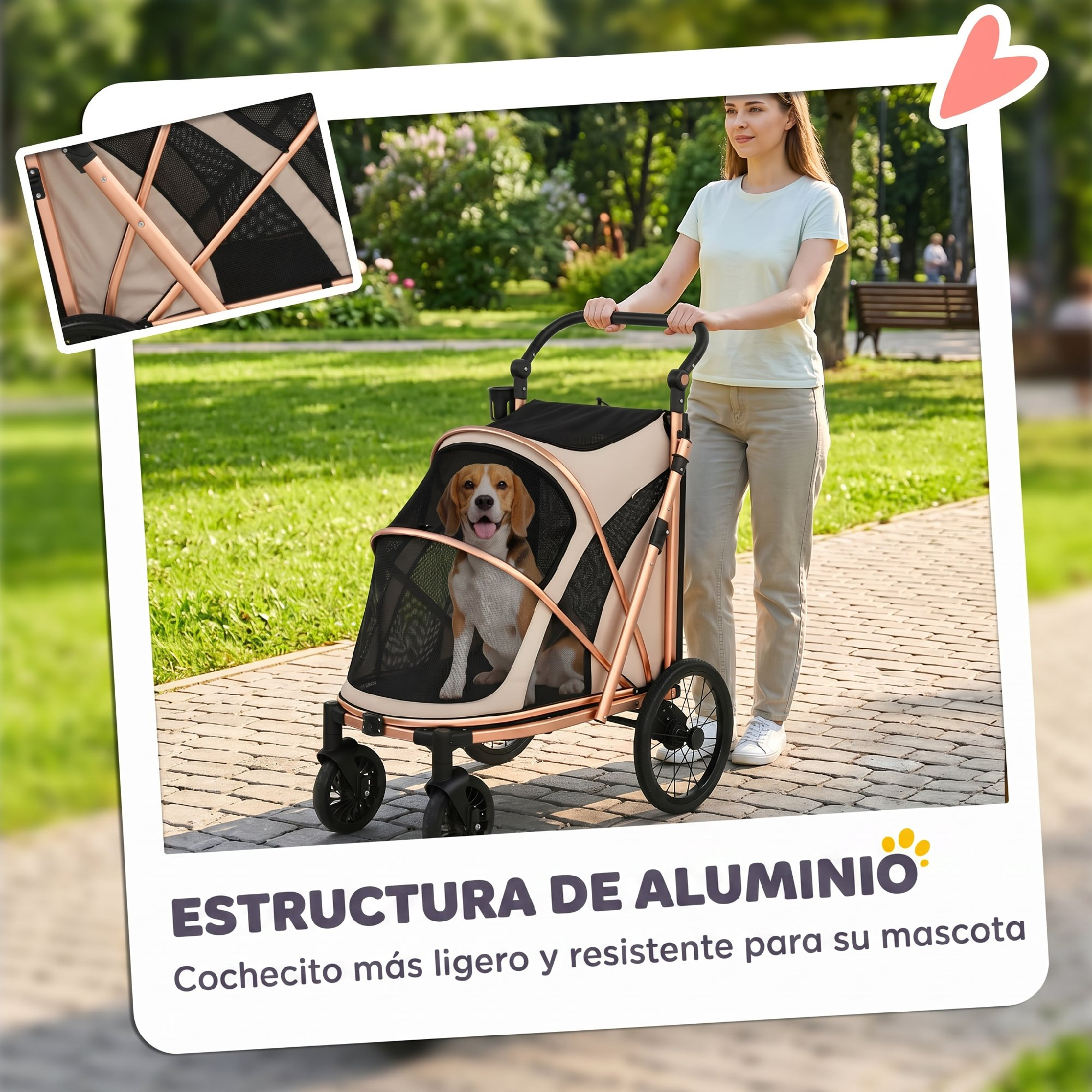 Mujer empuja un carrito para mascotas con un beagle, detalle del marco.