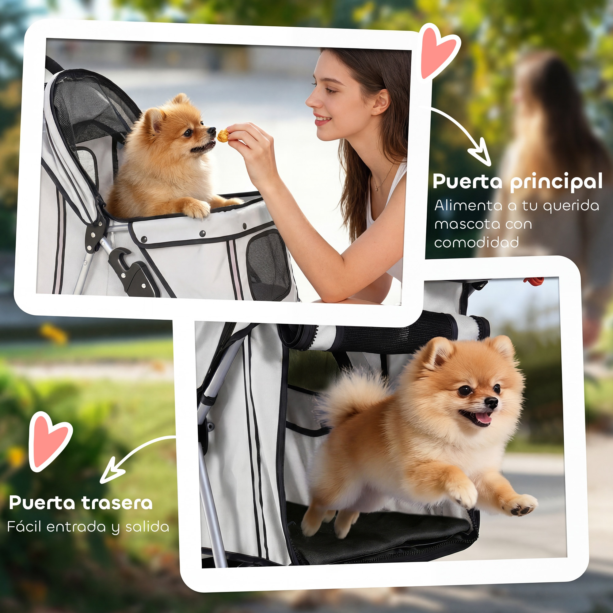 Una mujer alimenta a un pomerania en un carrito, mientras otro pomerania salta del carrito.