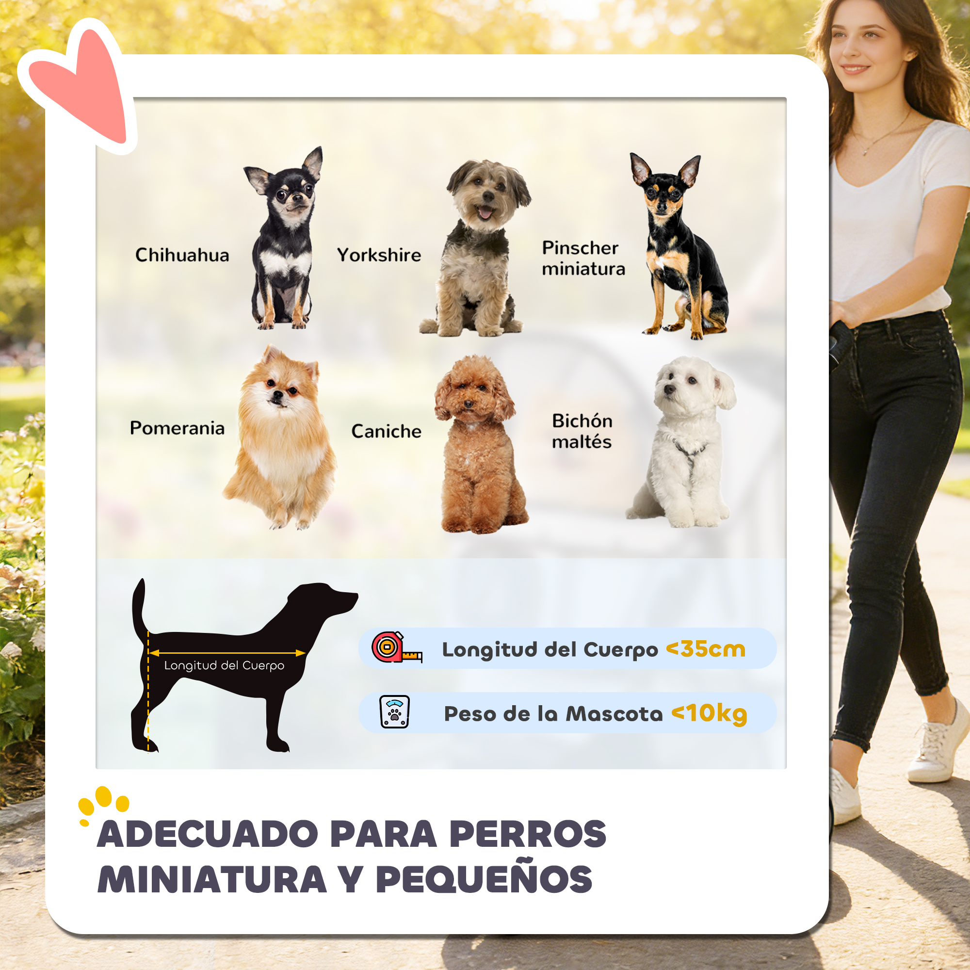 Infografía de razas pequeñas, longitud menor a 35cm y peso menor a 10kg.