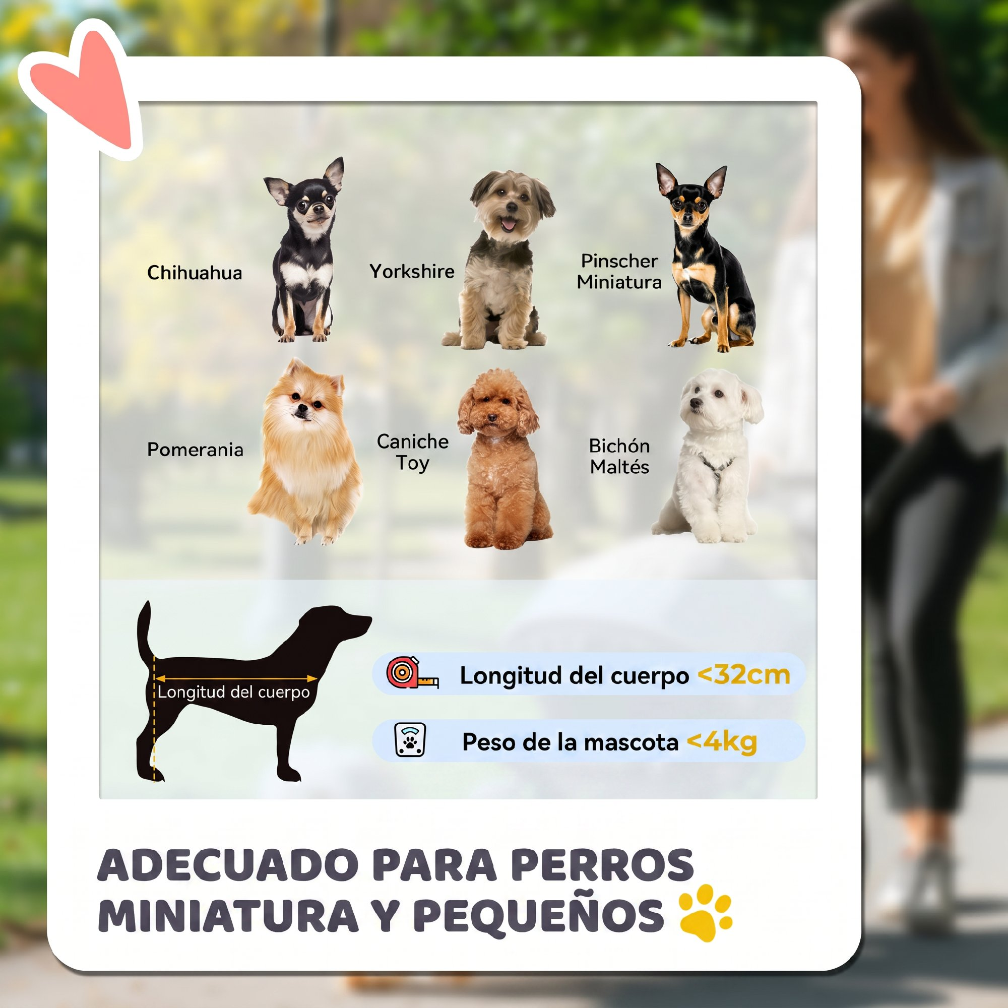 Infografía con razas de perros pequeños como Chihuahua y Yorkshire, indicando longitud y peso.