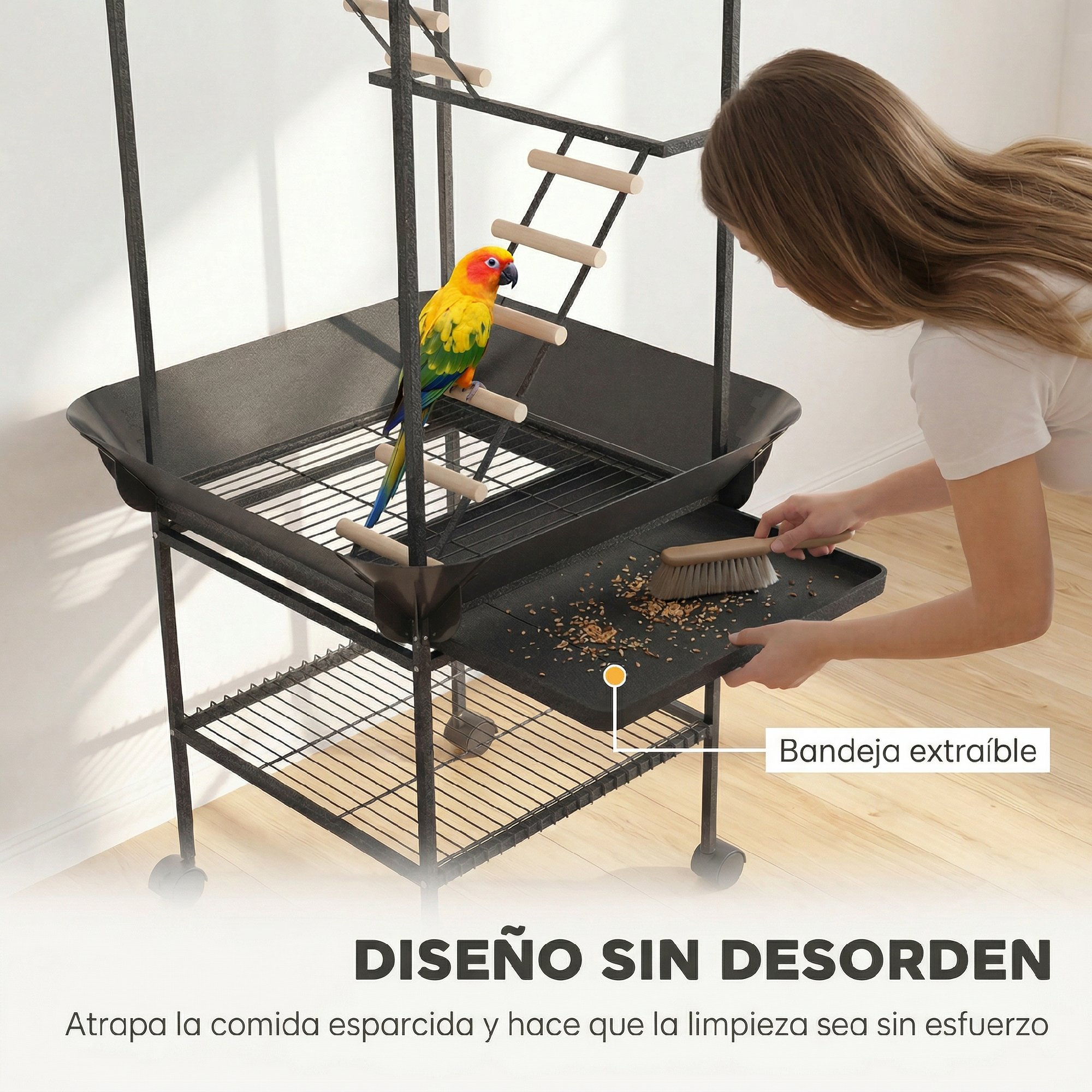 Mujer limpia la bandeja extraíble de una jaula para pájaros con un cepillo mientras un ave colorida está en una escalera.