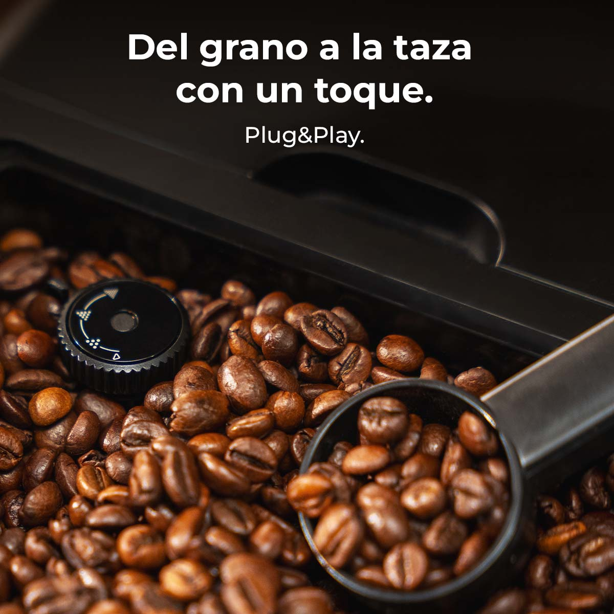 Chicchi di caffè in una macchina con cucchiaio e manopola. Testo in alto.
