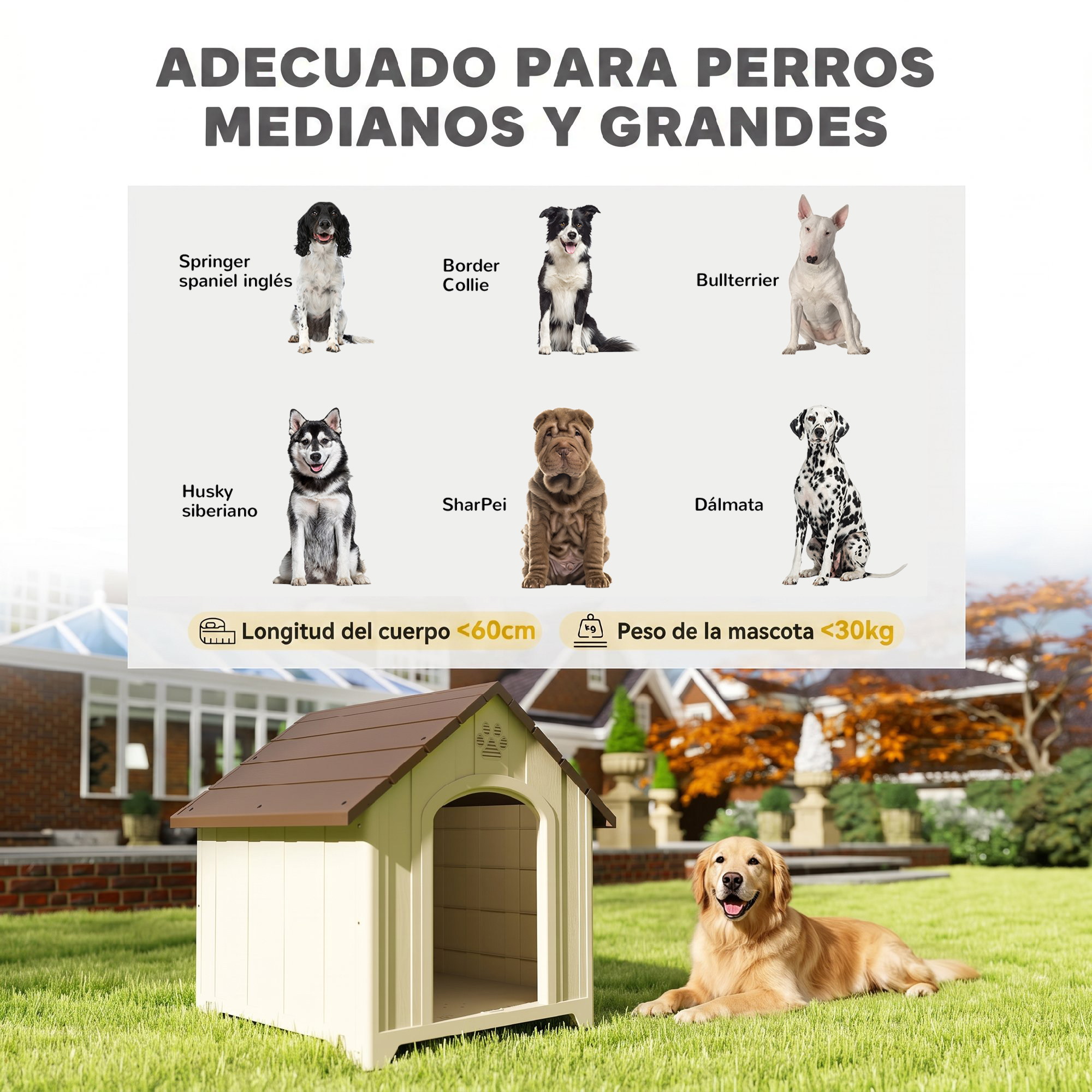 Una caseta para perros en el jardín con un perro al lado y ejemplos de razas.