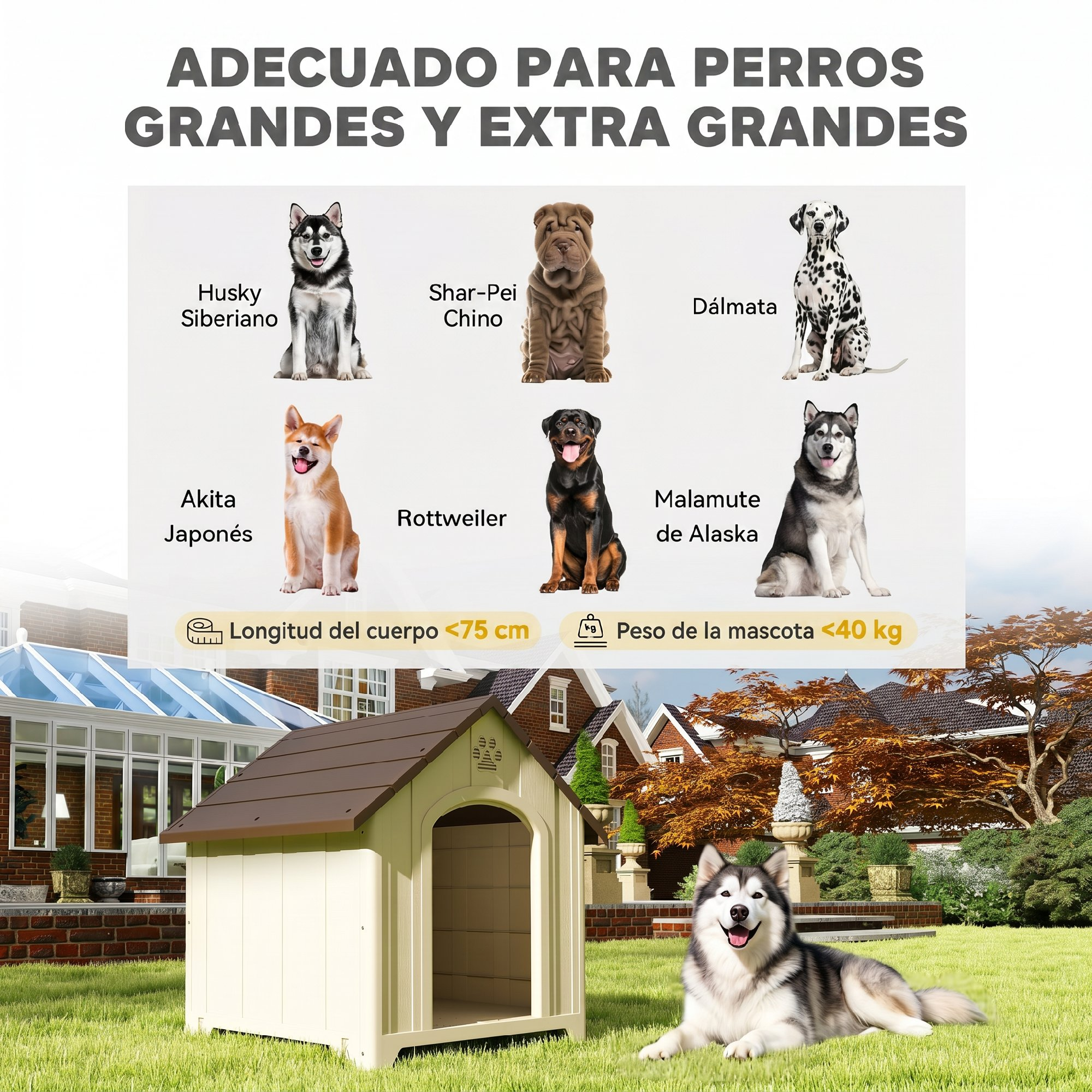 Una caseta de perro de plástico en un jardín con un perro y tabla.